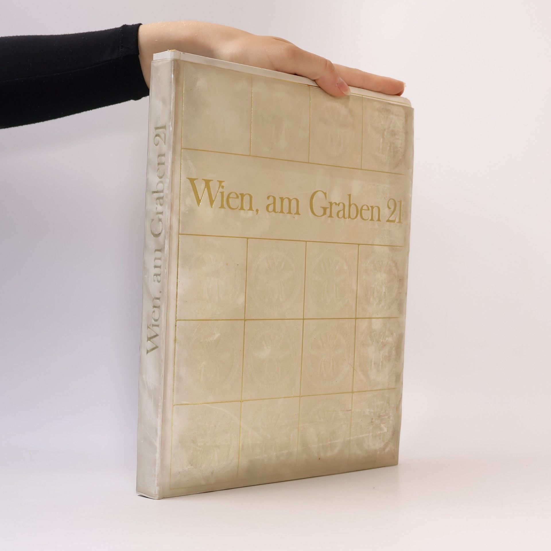 Kolektiv autorů Wien, am Graben 21