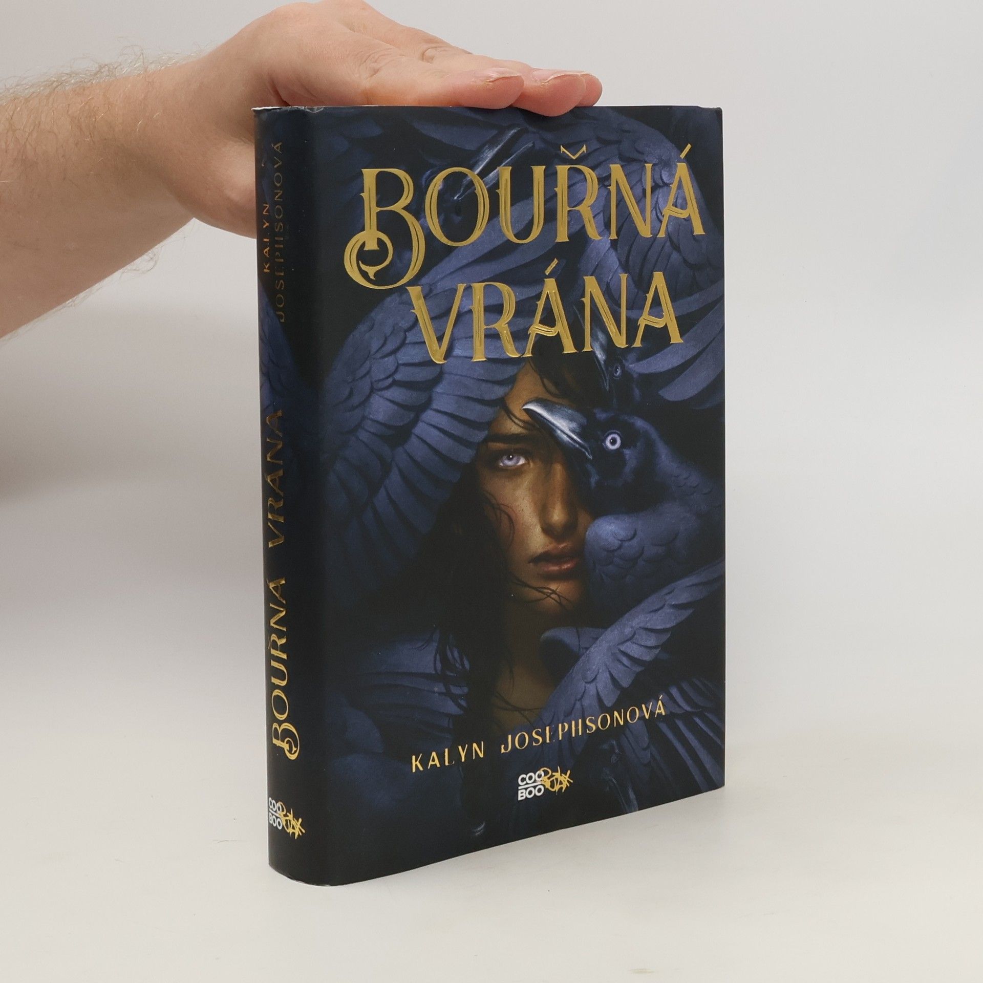 Kalyn Josephson Bouřná vrána