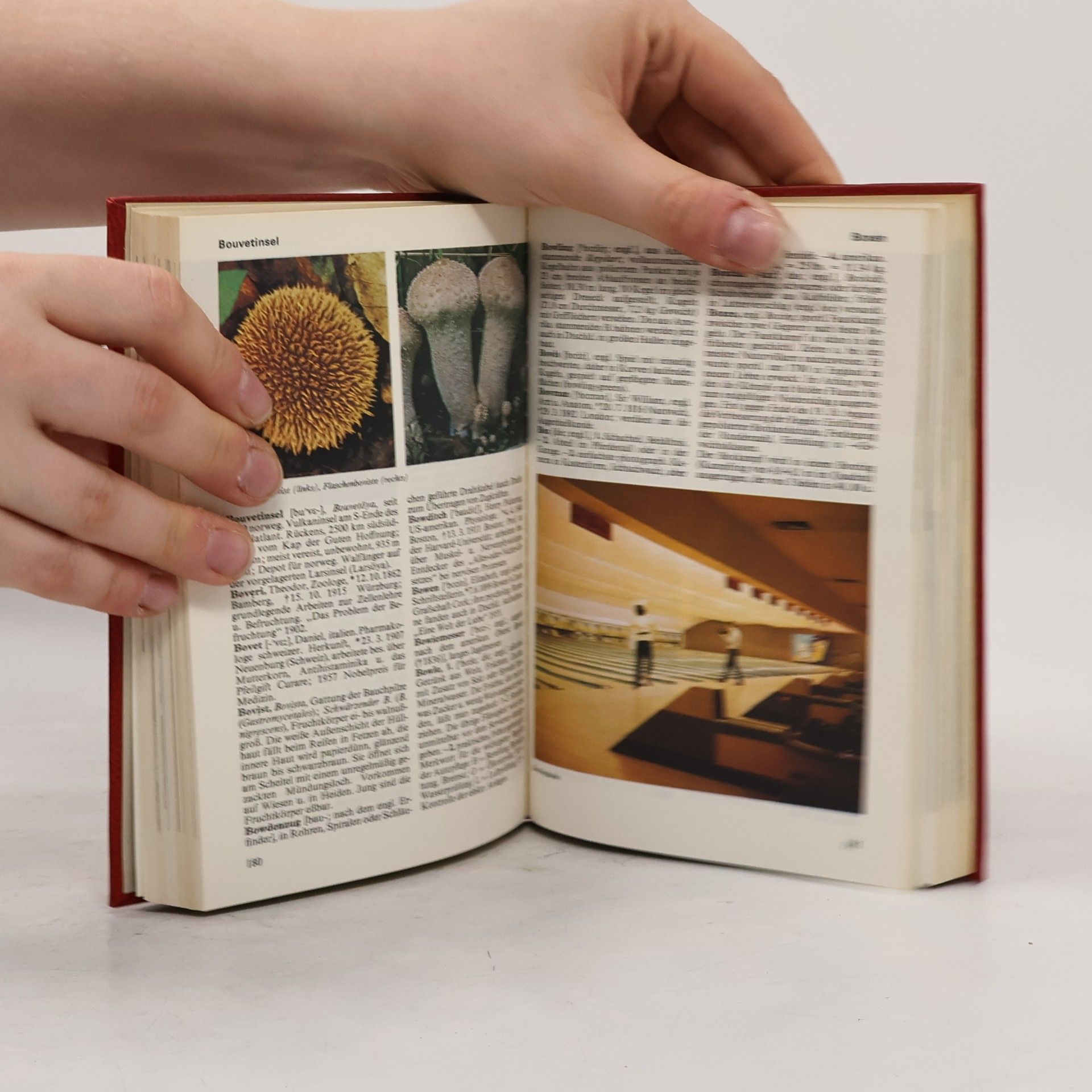 Autorenkollektiv Das moderne Lexikon 3. Bf-Cha