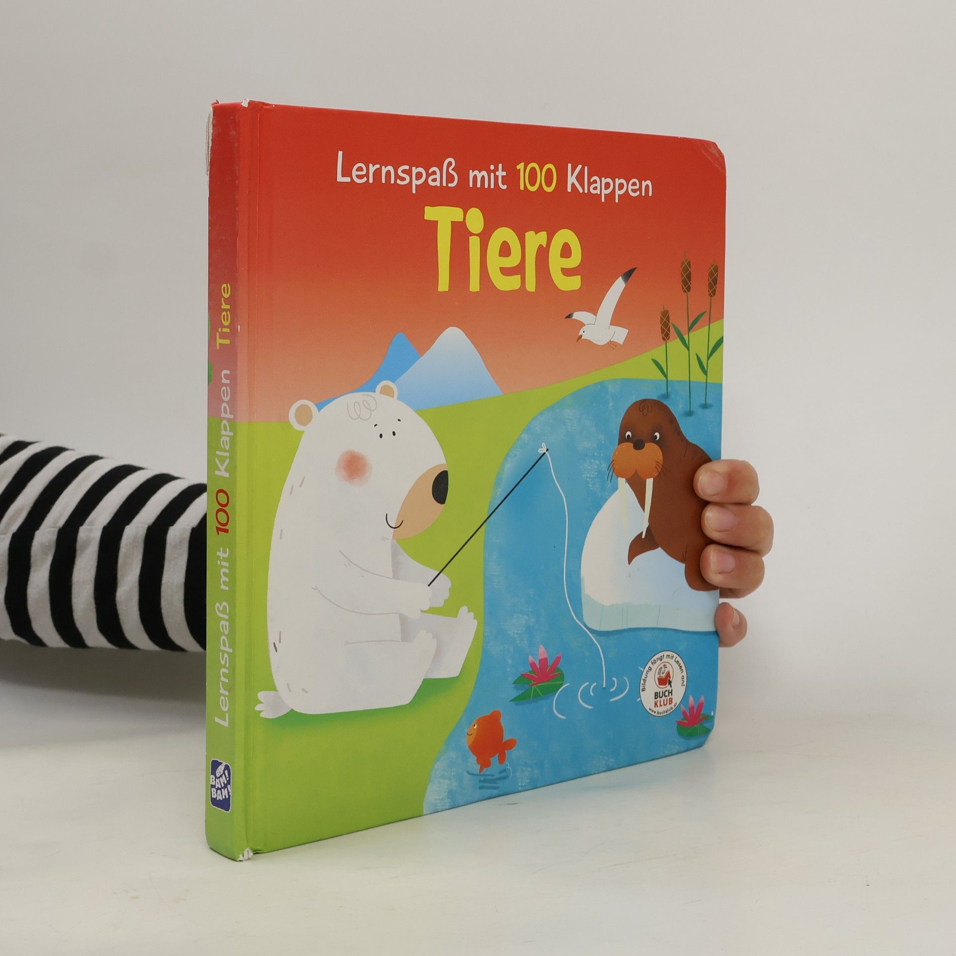 Autorenkollektiv Lernspass mit 100 Klappen Tiere