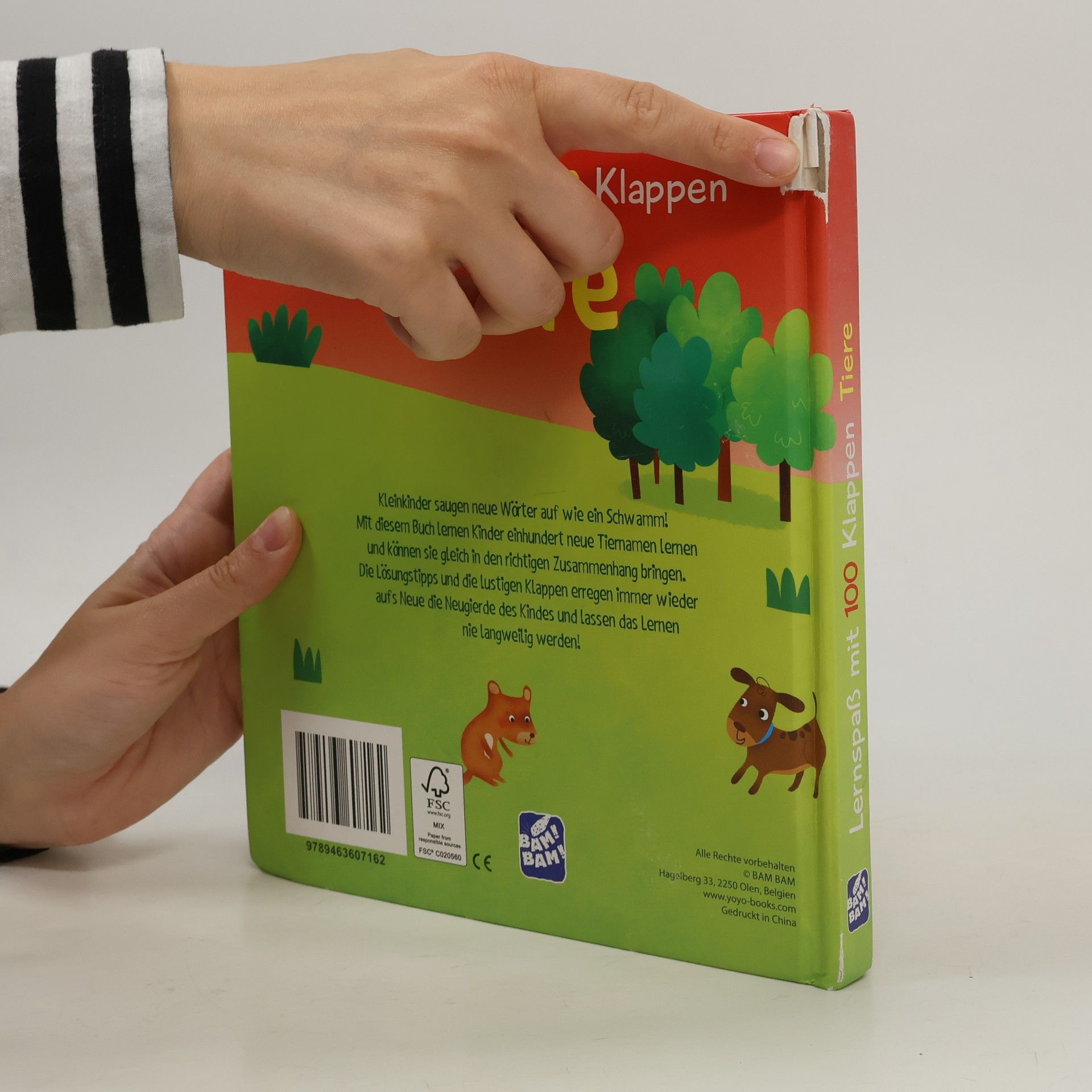 Autorenkollektiv Lernspass mit 100 Klappen Tiere
