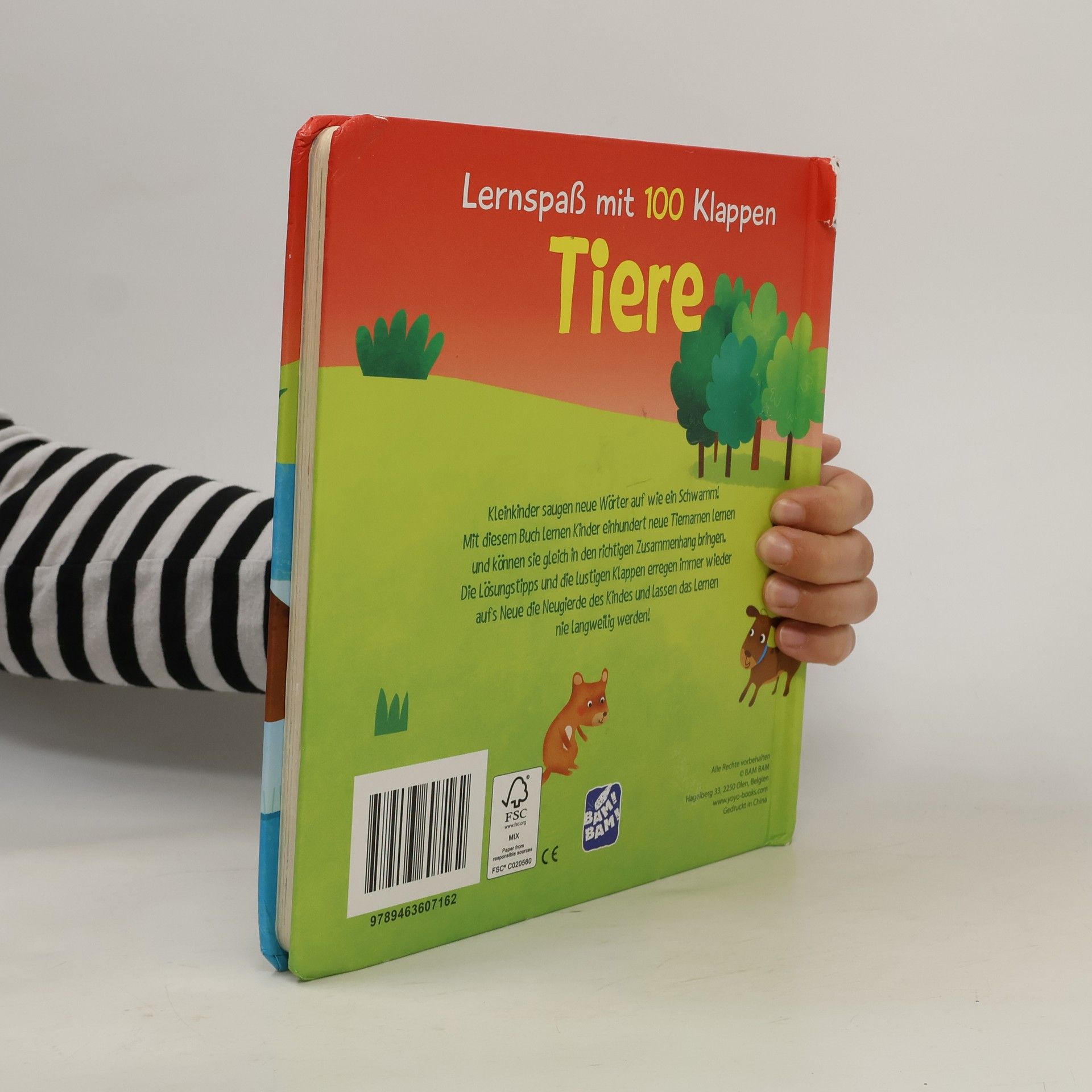 Autorenkollektiv Lernspass mit 100 Klappen Tiere