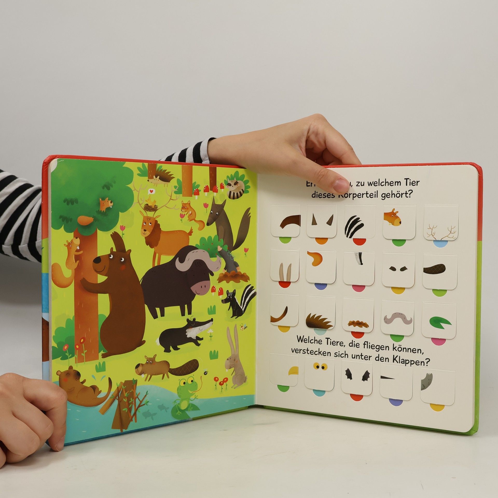 Autorenkollektiv Lernspass mit 100 Klappen Tiere