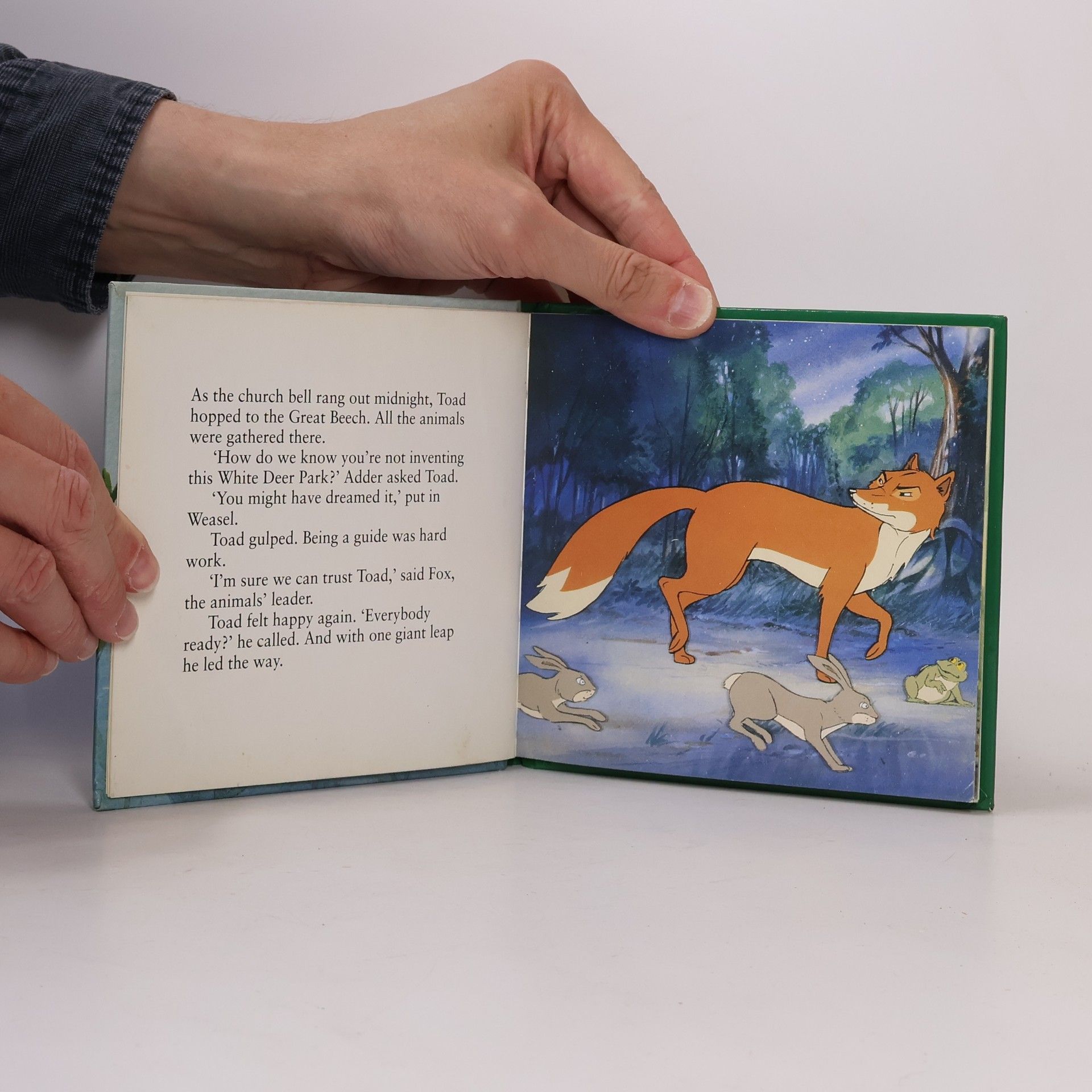 Colin Dann The Animals of Farthing Wood