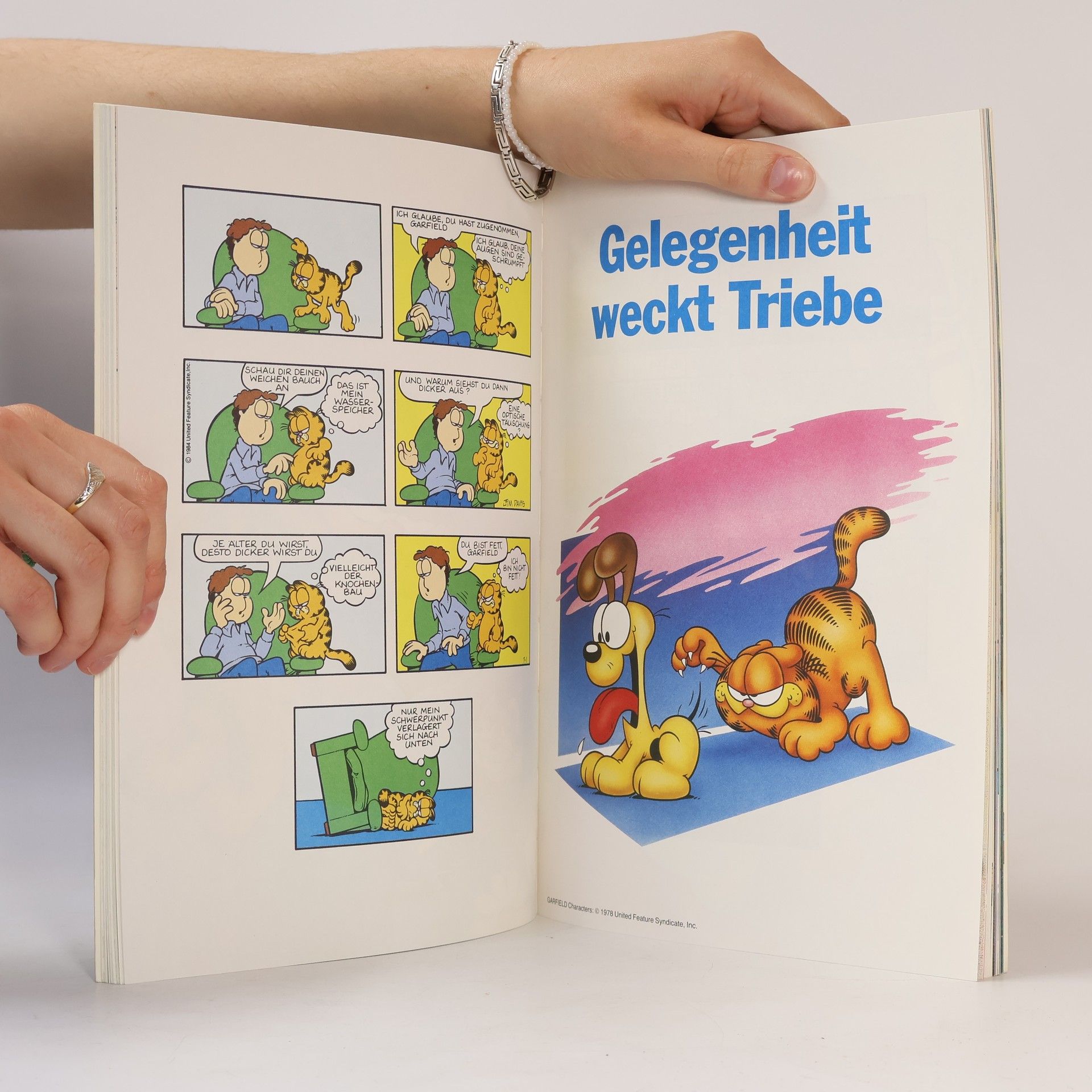 Jim Davis Die Garfield Galerie 3
