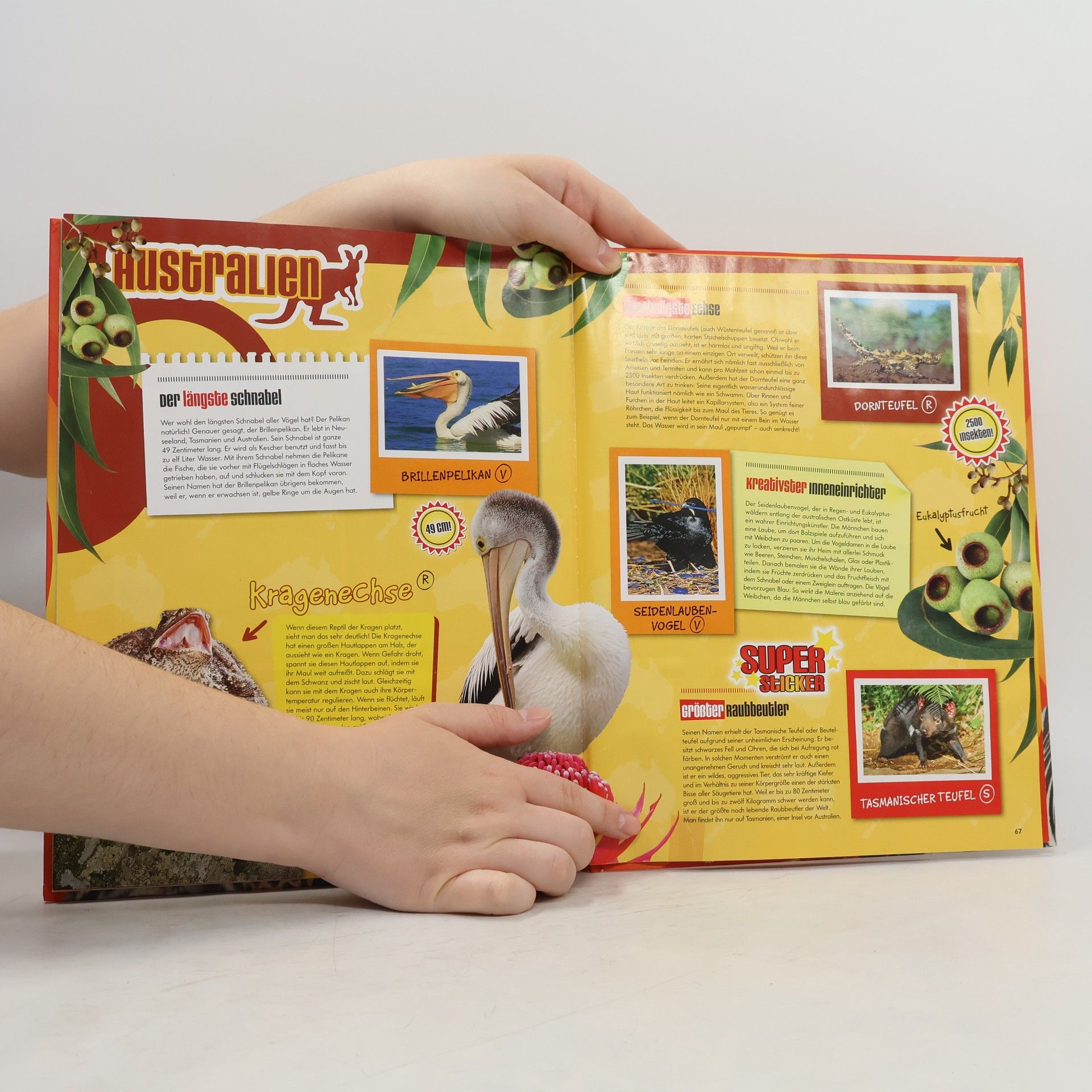 Autorenkollektiv Stickerbuch der Tierischen Rekorde