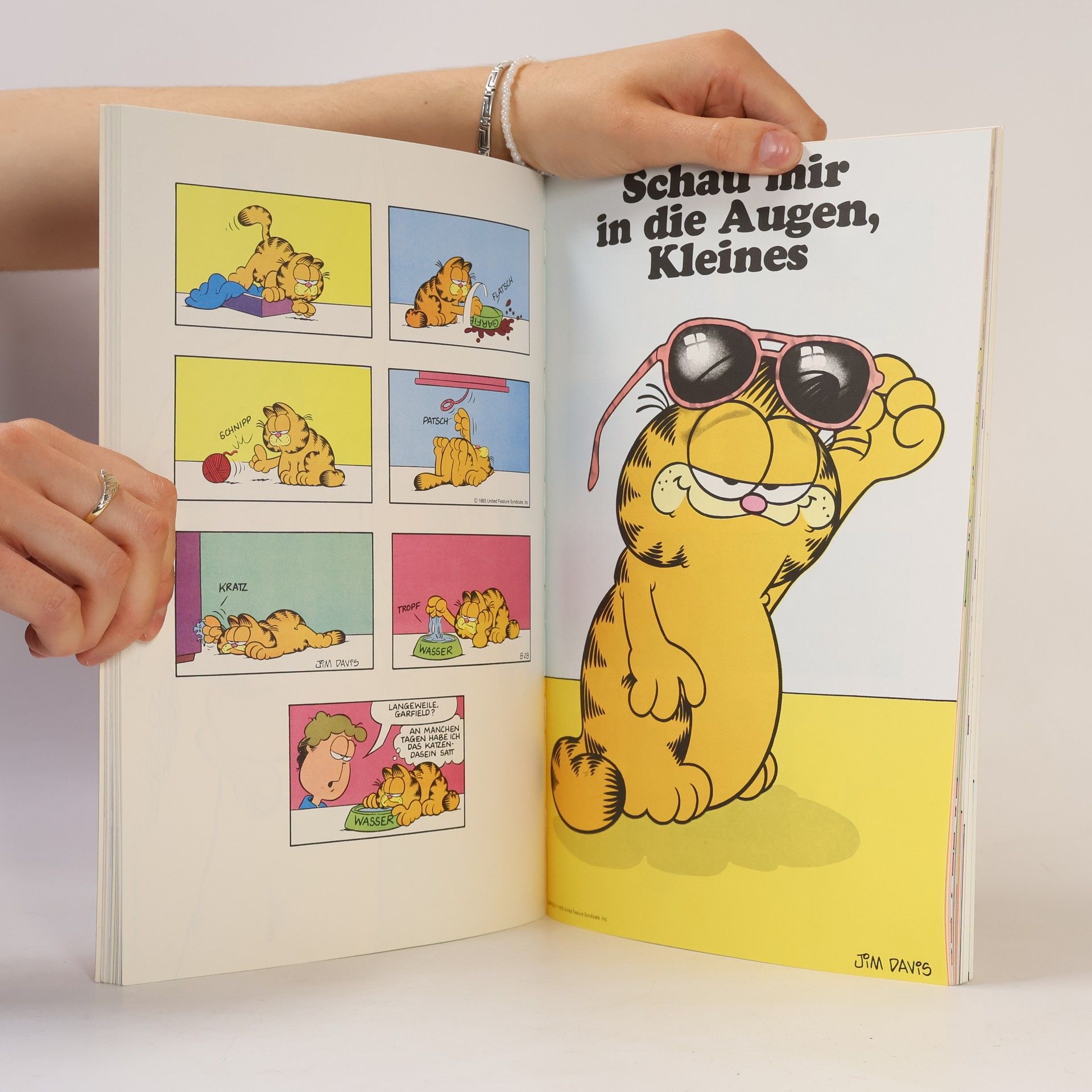 Jim Davis Die Garfield-Galerie 2
