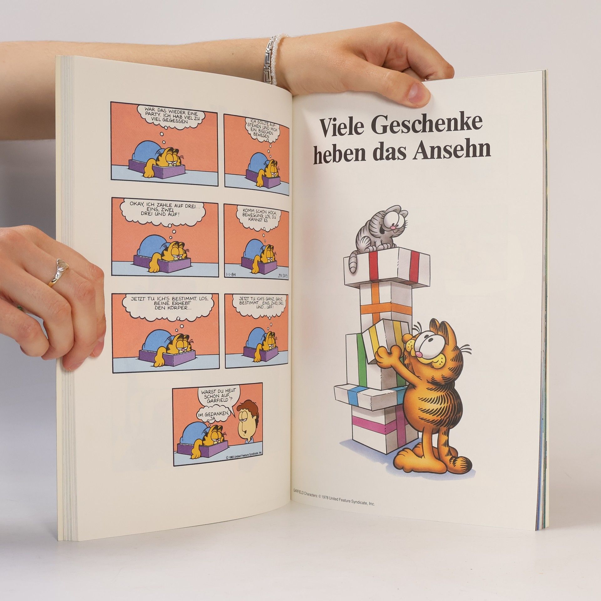 Jim Davis Die Garfield Galerie 3