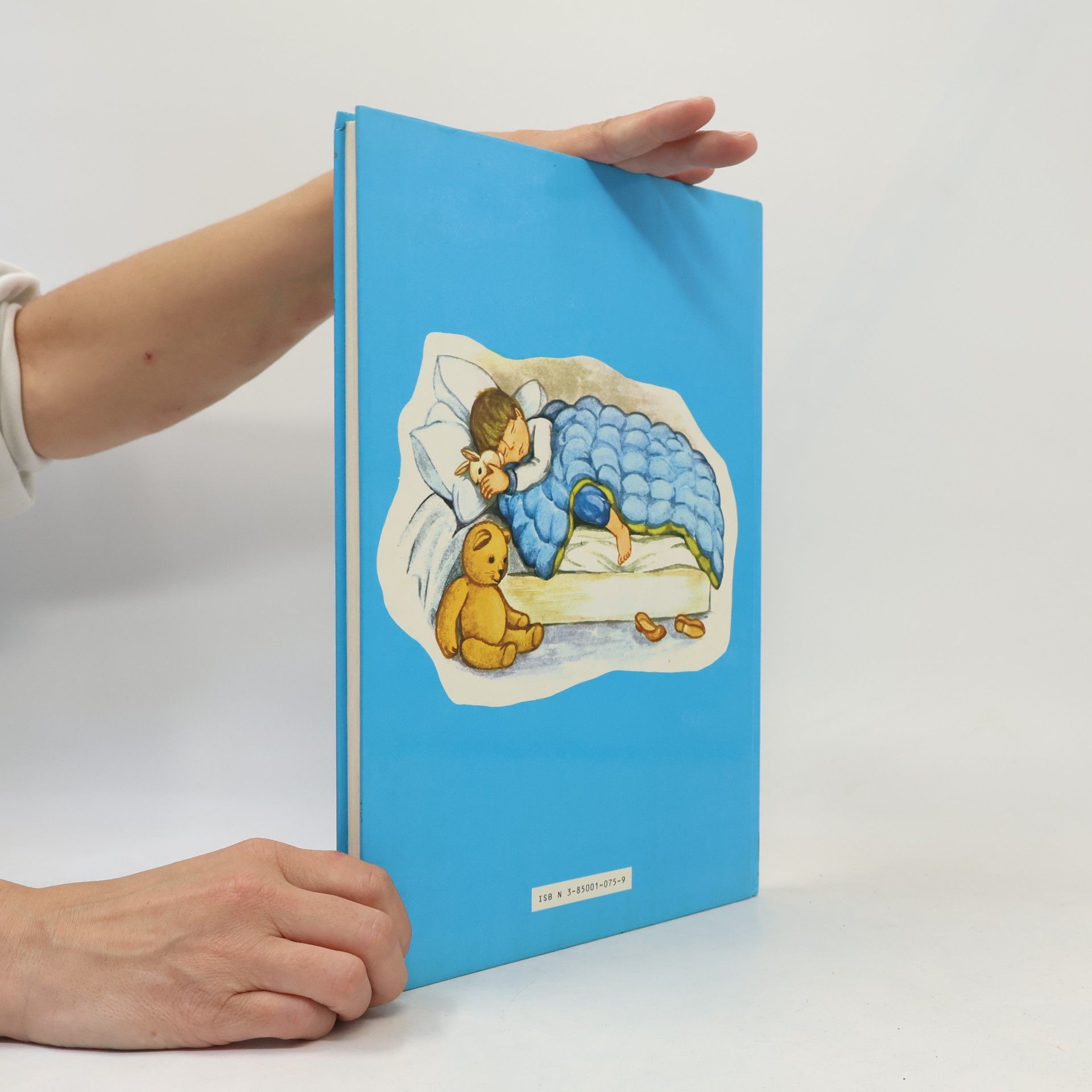 Franz Burkhart Das große Buch der Kinderlieder
