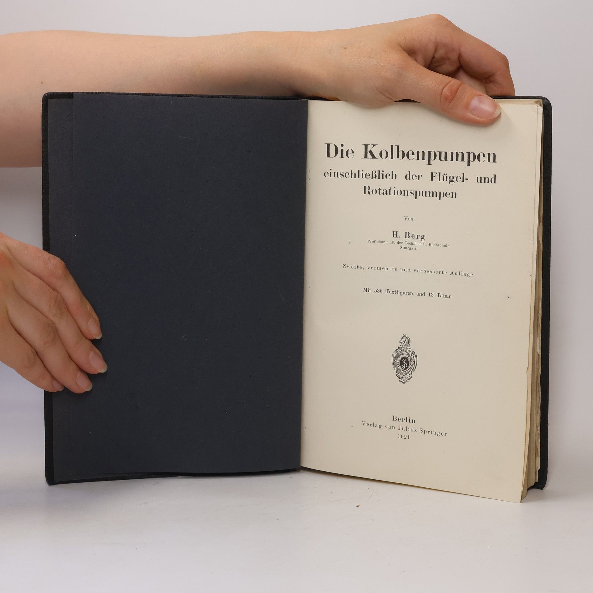 Heinrich Berg Die Kolbenpumpen