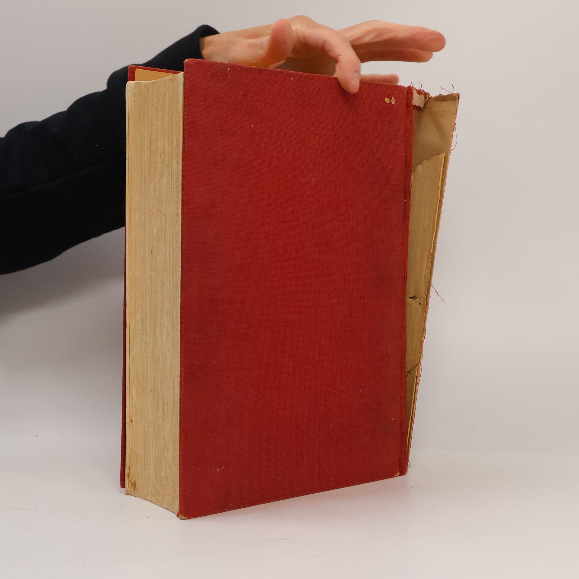 Various authors Das Reich der Hausfrau