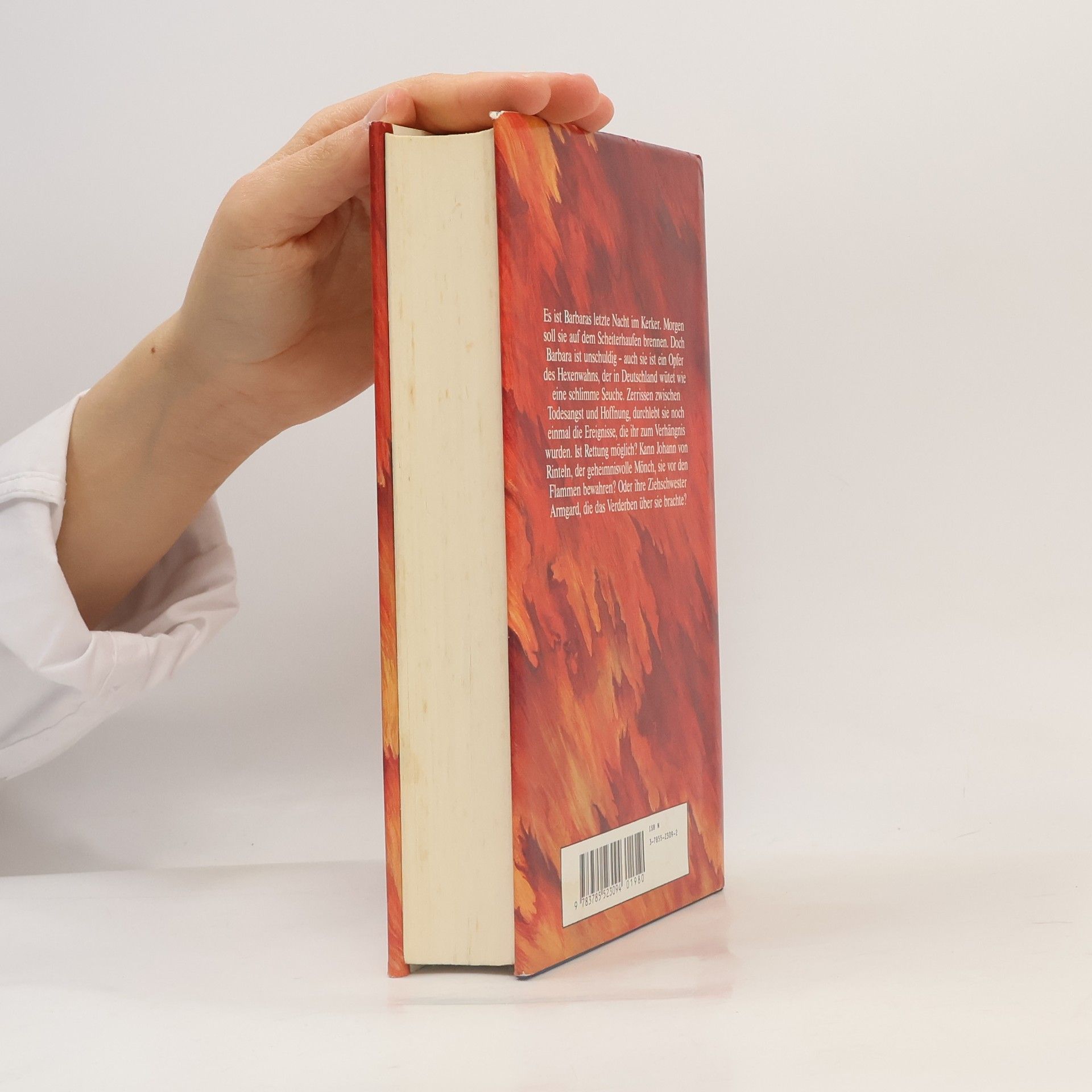 Isolde Heyne Hexenfeuer