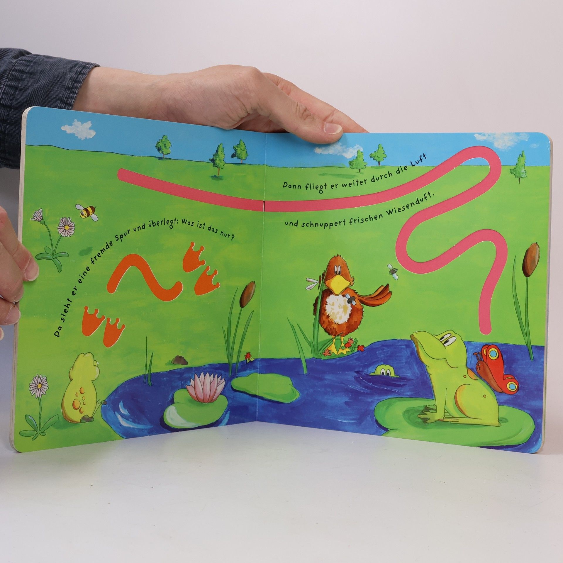 Johanna Fritz Mein Finger-Nachfahr-Buch In der Natur