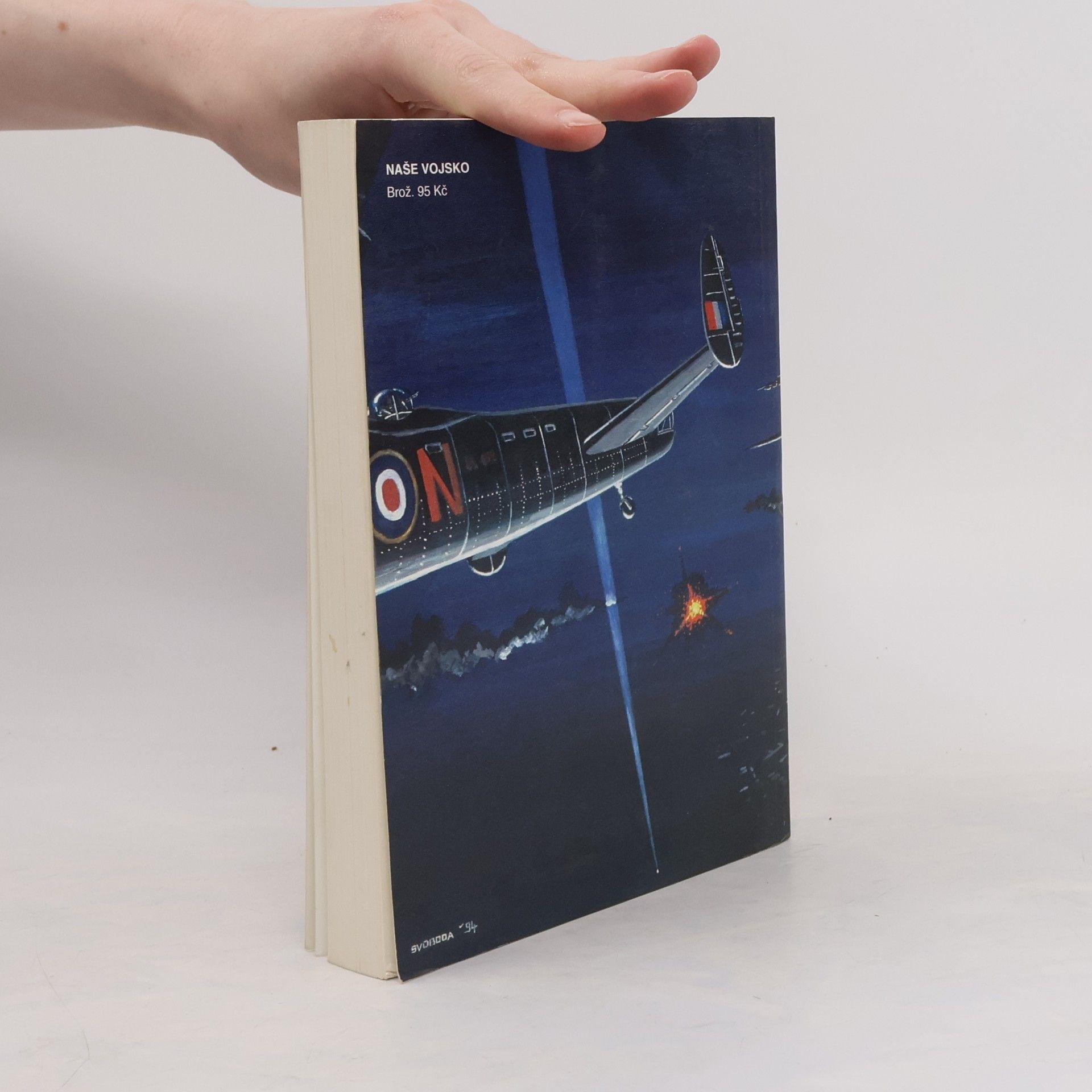 Max Hastings Velitelství bombardovacího letectva