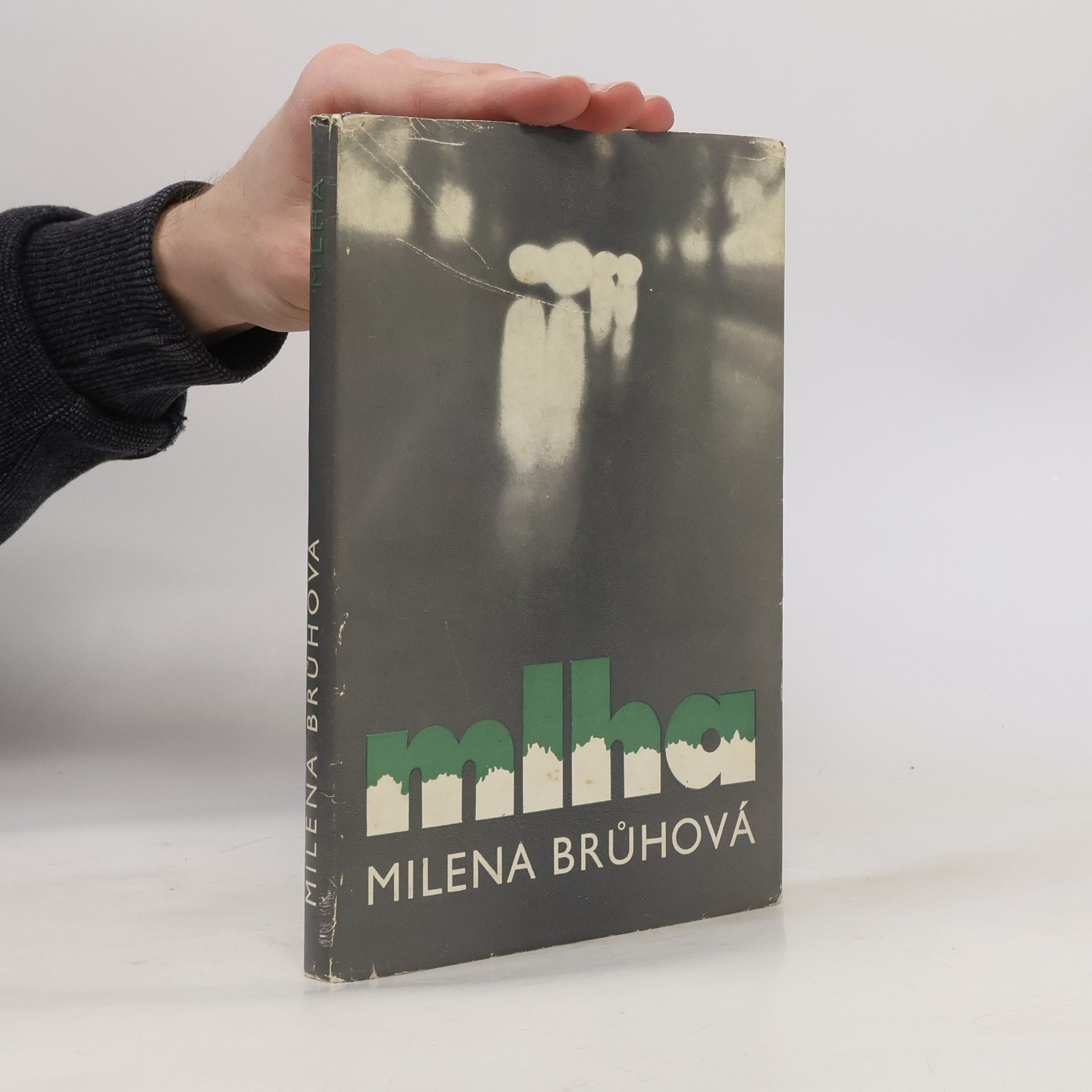 Milena Brůhová Mlha