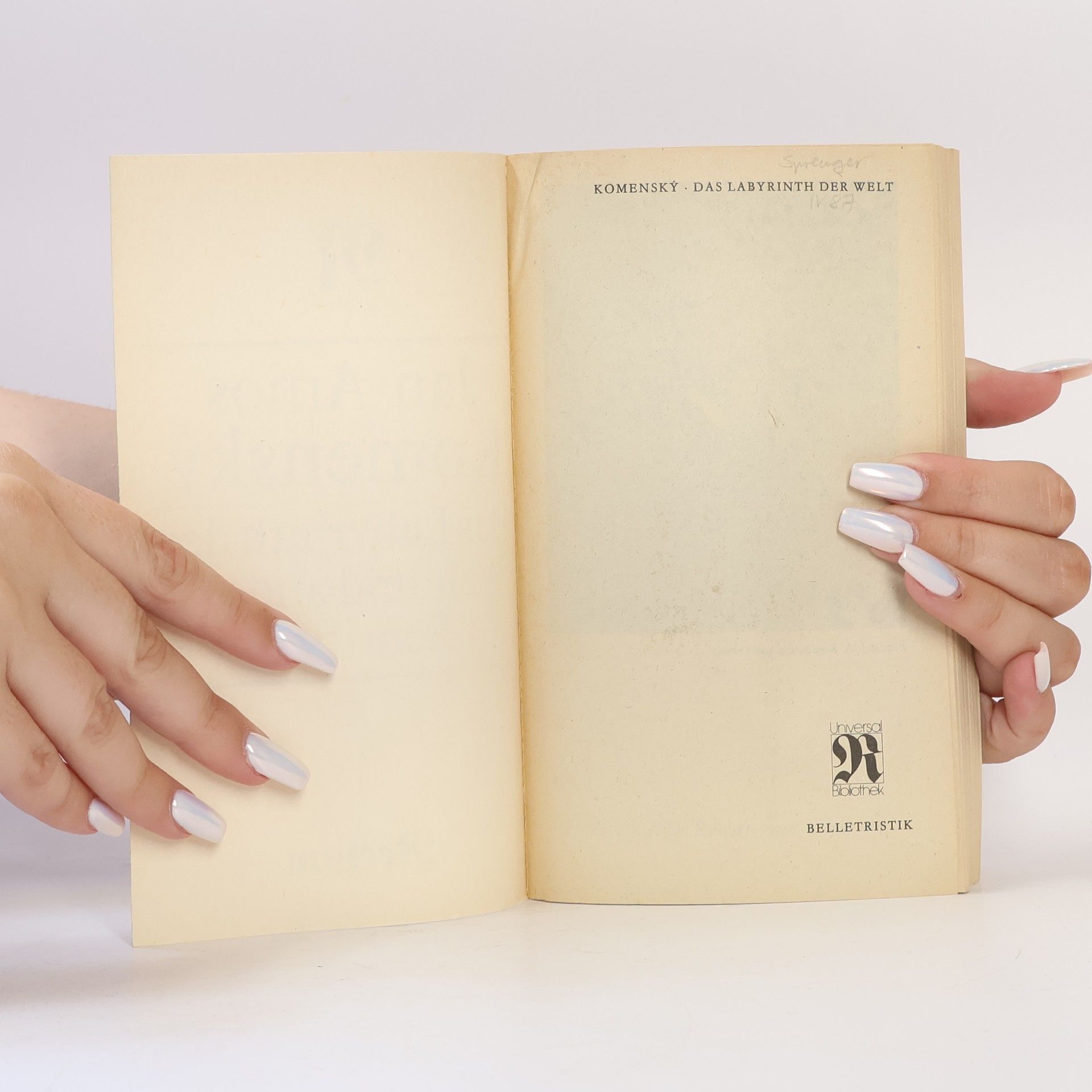 Jan Amos Komenský Das Labyrinth der Welt und andere Schriften