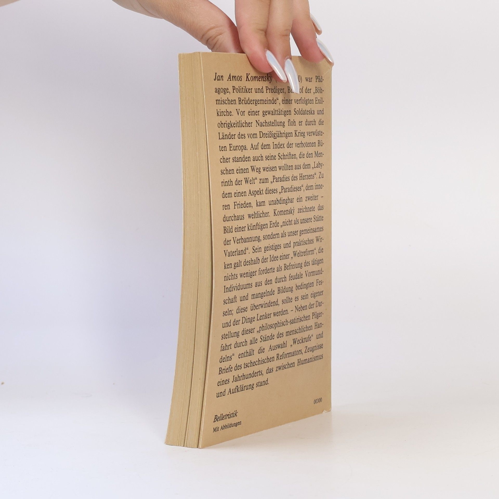 Jan Amos Komenský Das Labyrinth der Welt und andere Schriften
