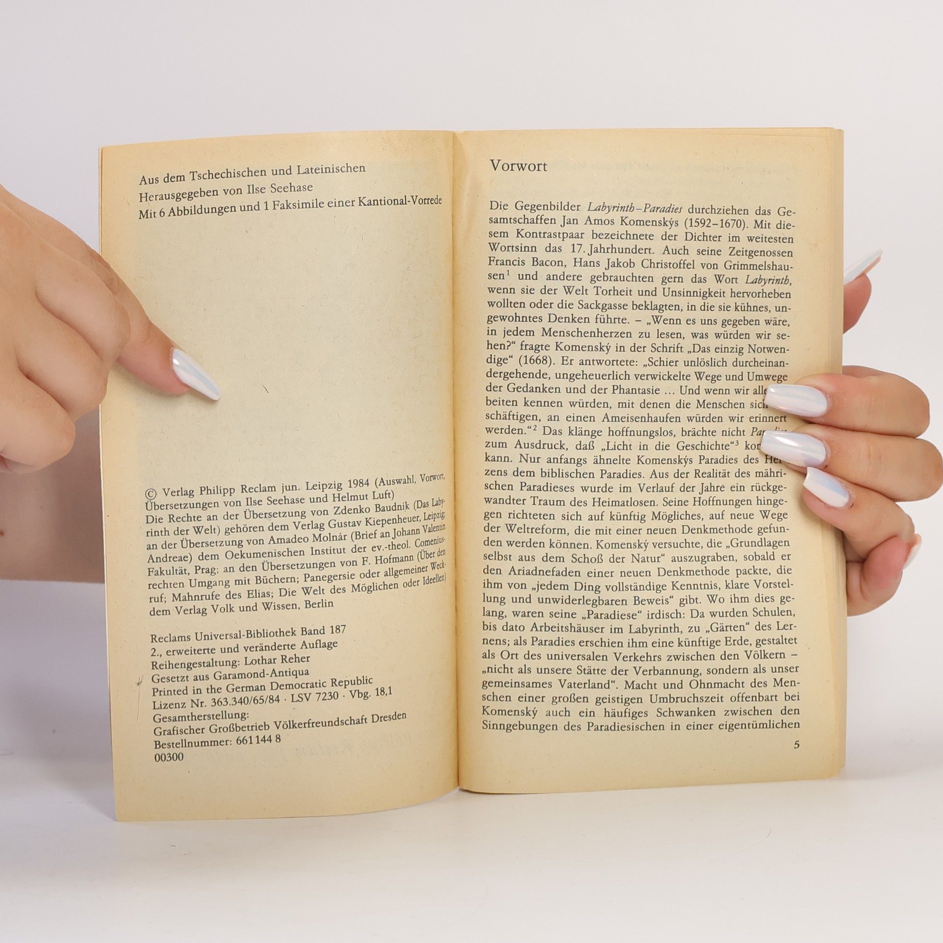 Jan Amos Komenský Das Labyrinth der Welt und andere Schriften