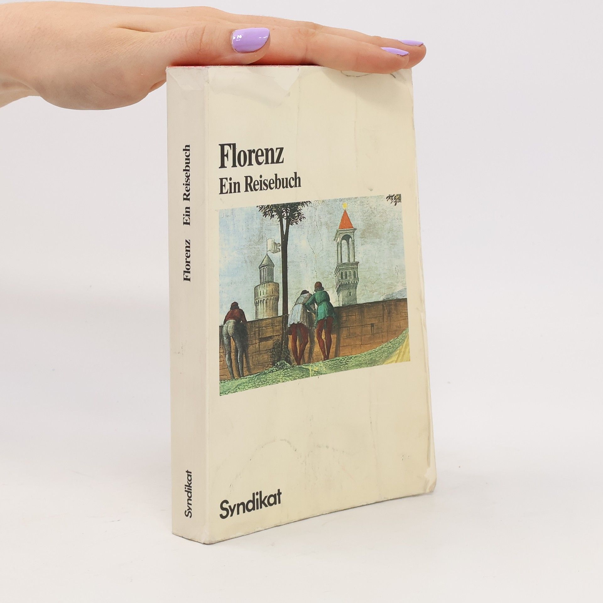 Autores varios Florenz. Ein Reisebuch