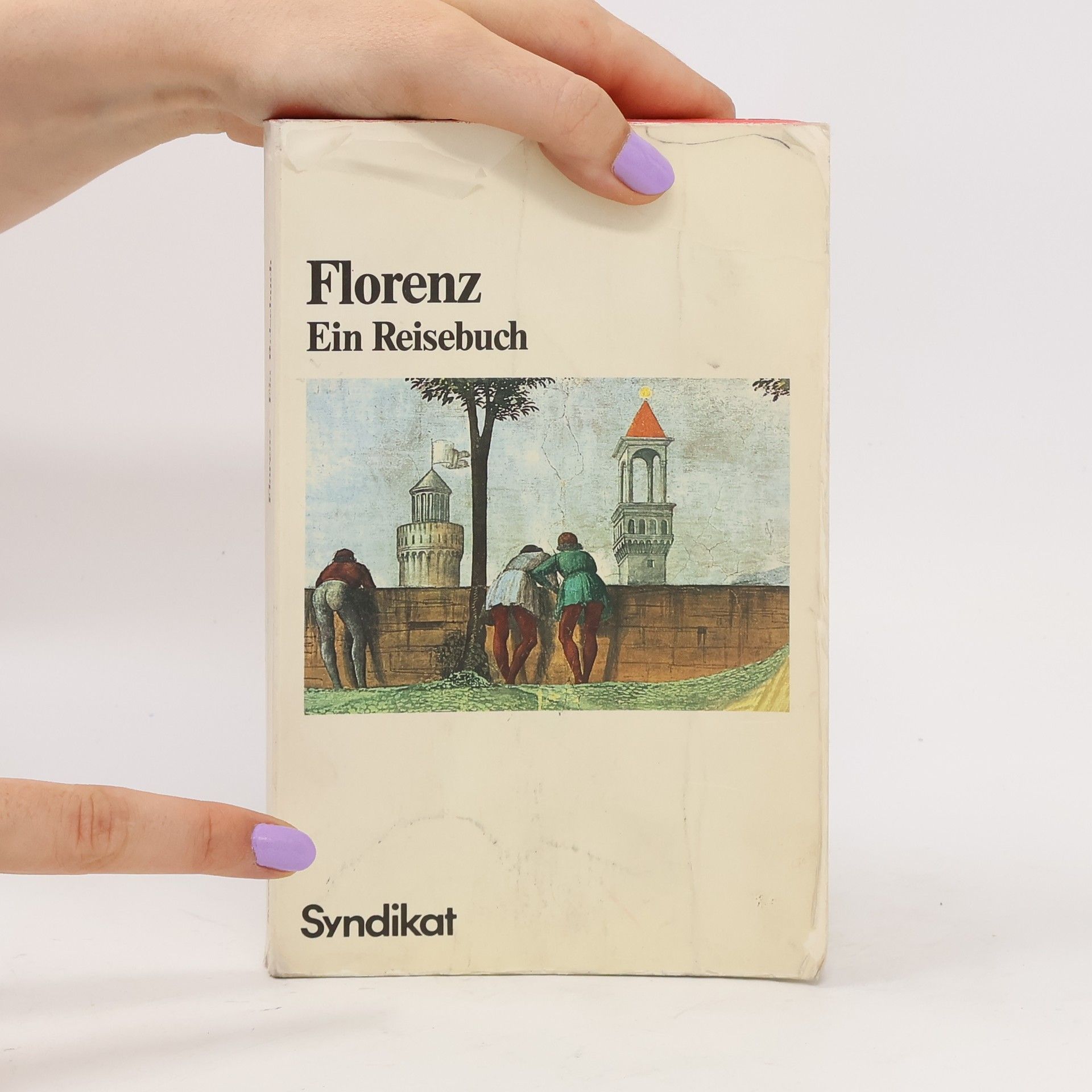 Autores varios Florenz. Ein Reisebuch