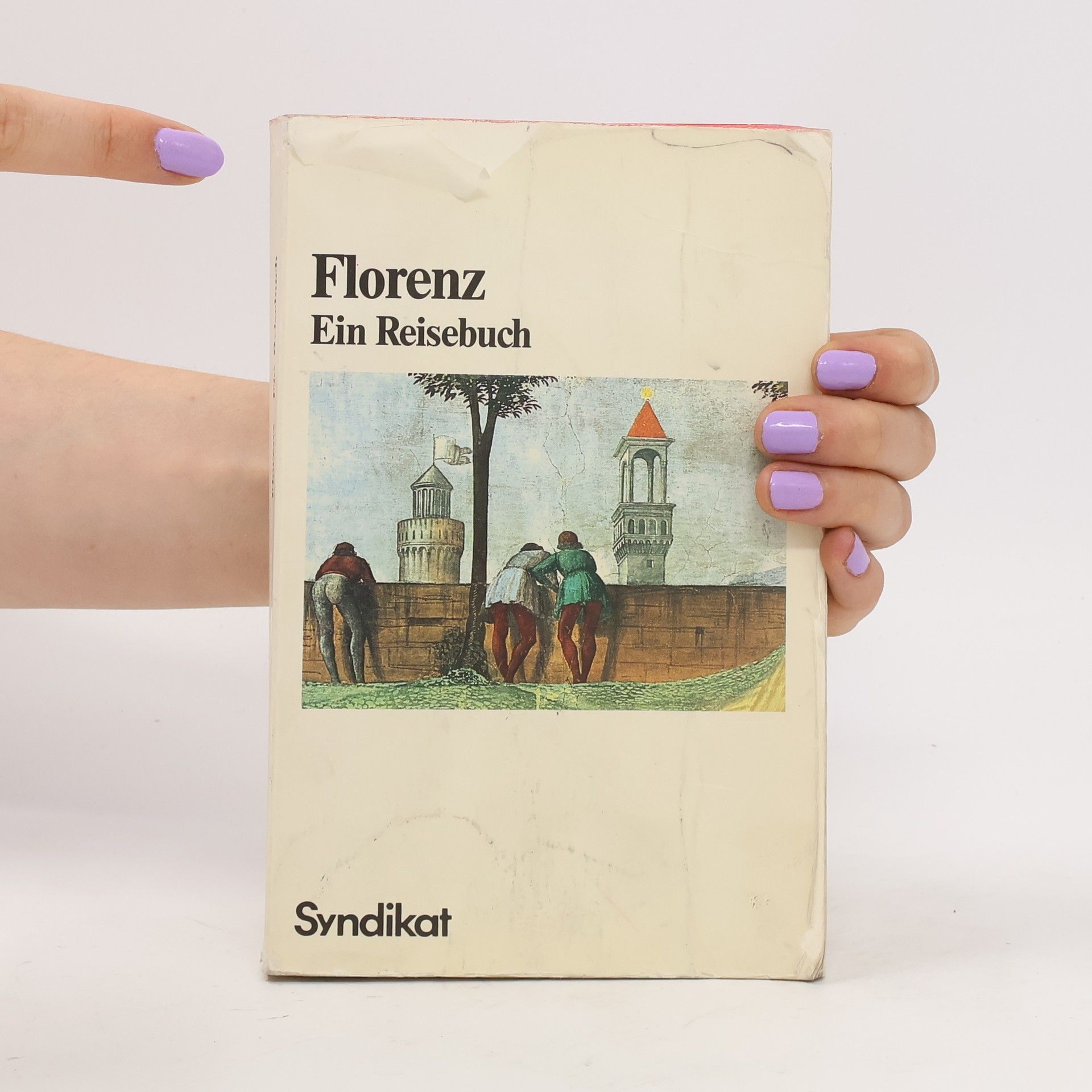 Autores varios Florenz. Ein Reisebuch