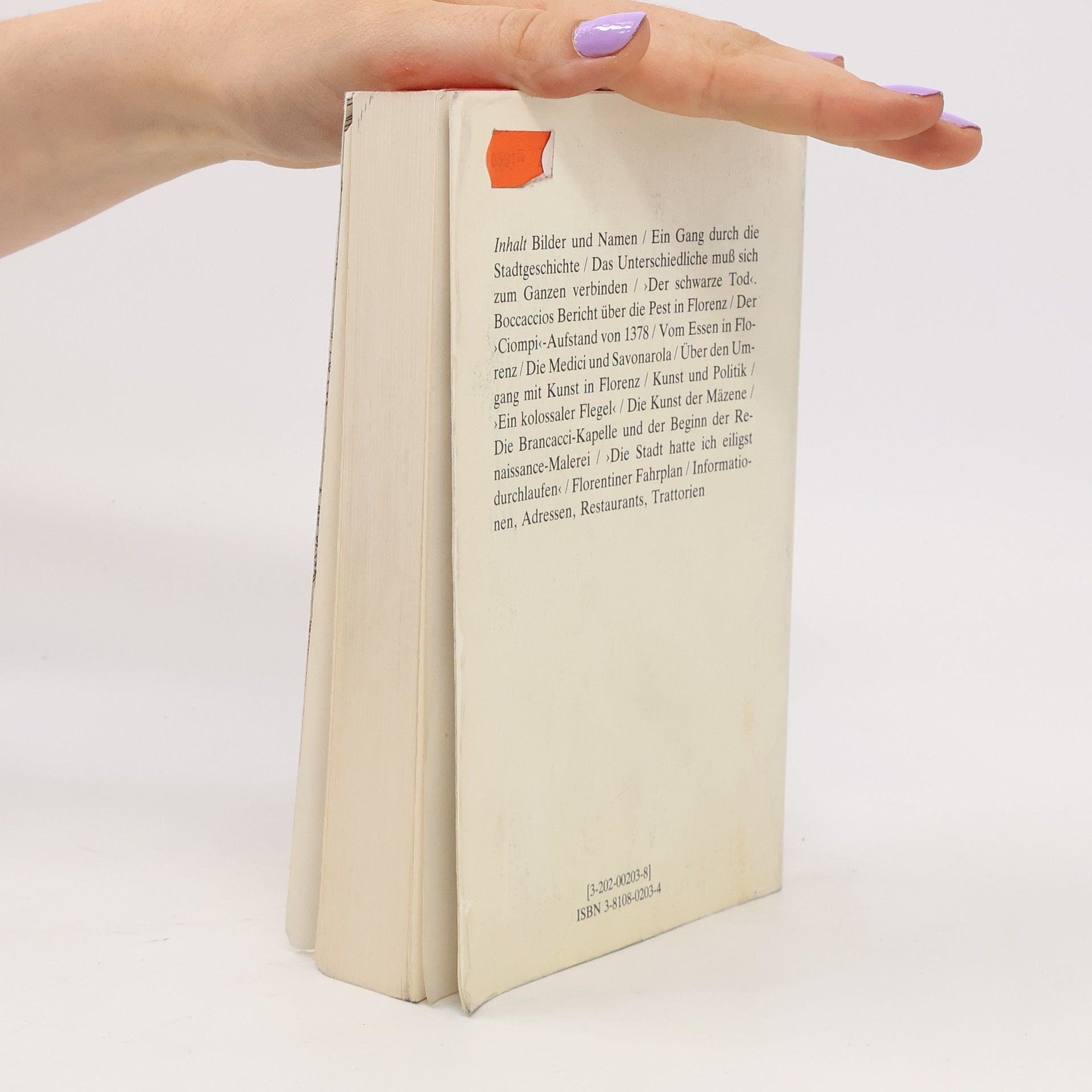 Autores varios Florenz. Ein Reisebuch