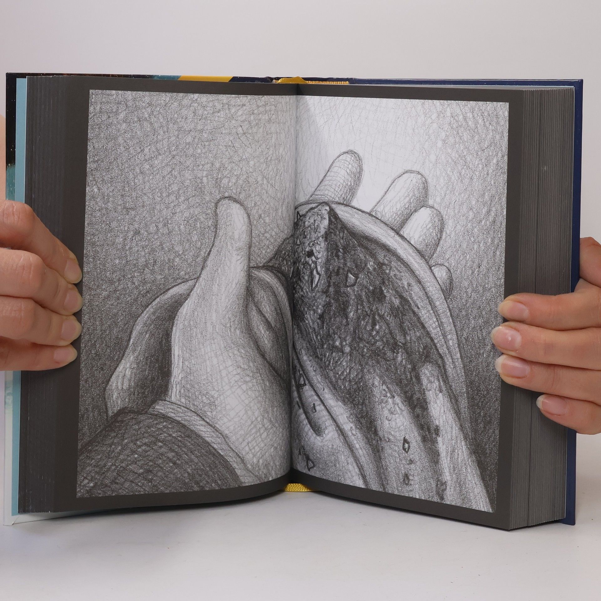 Brian Selznick Hugo a jeho velký objev