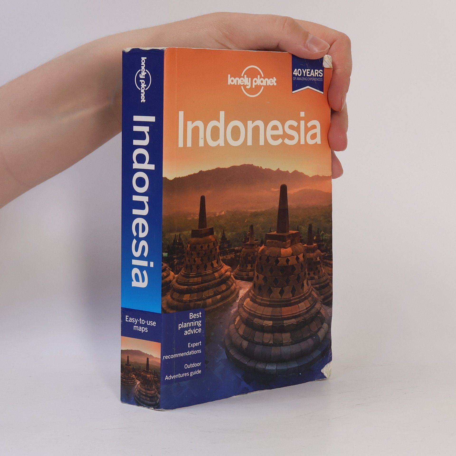 Ryan Ver Berkmoes Indonesia