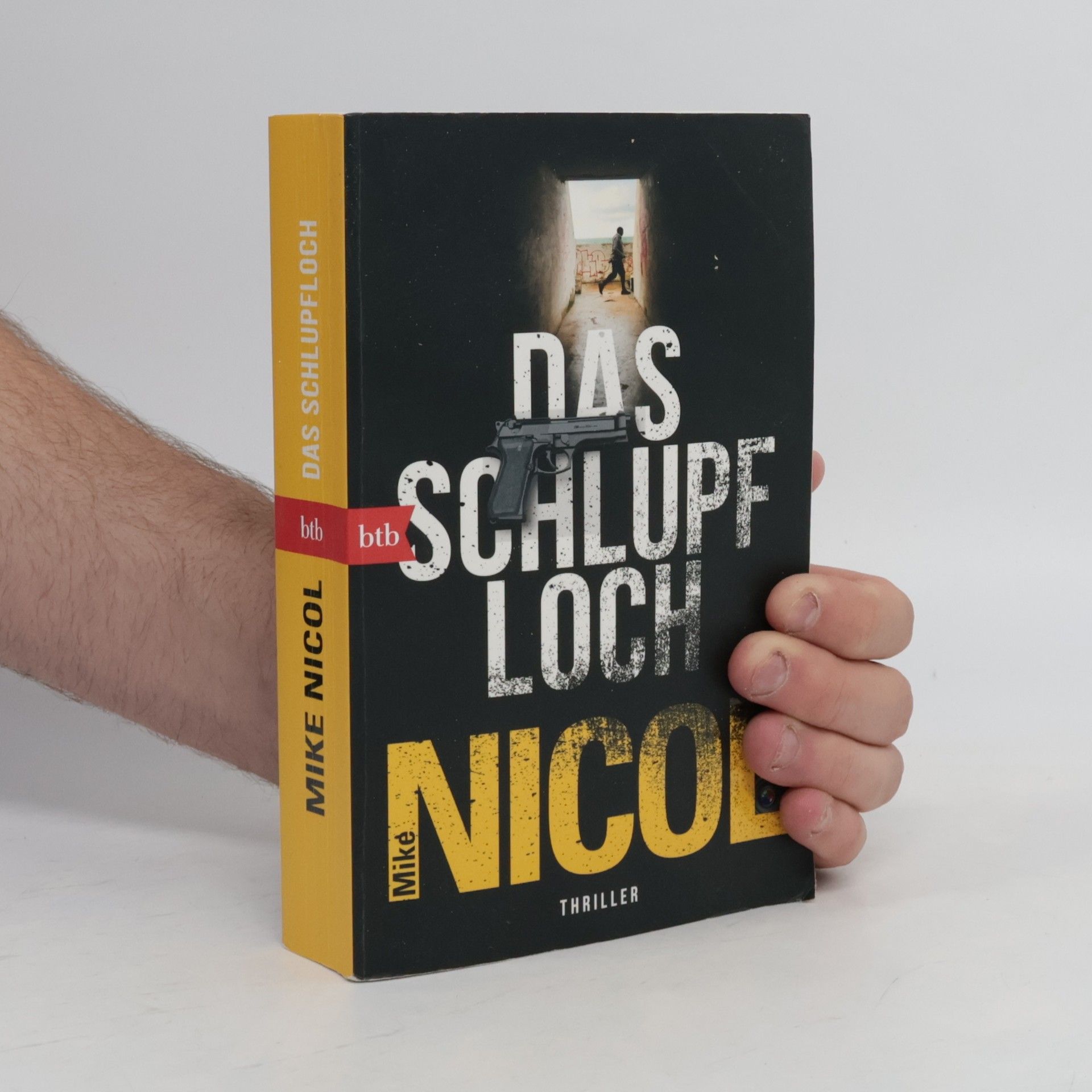 Mike Nicol Das Schlupfloch