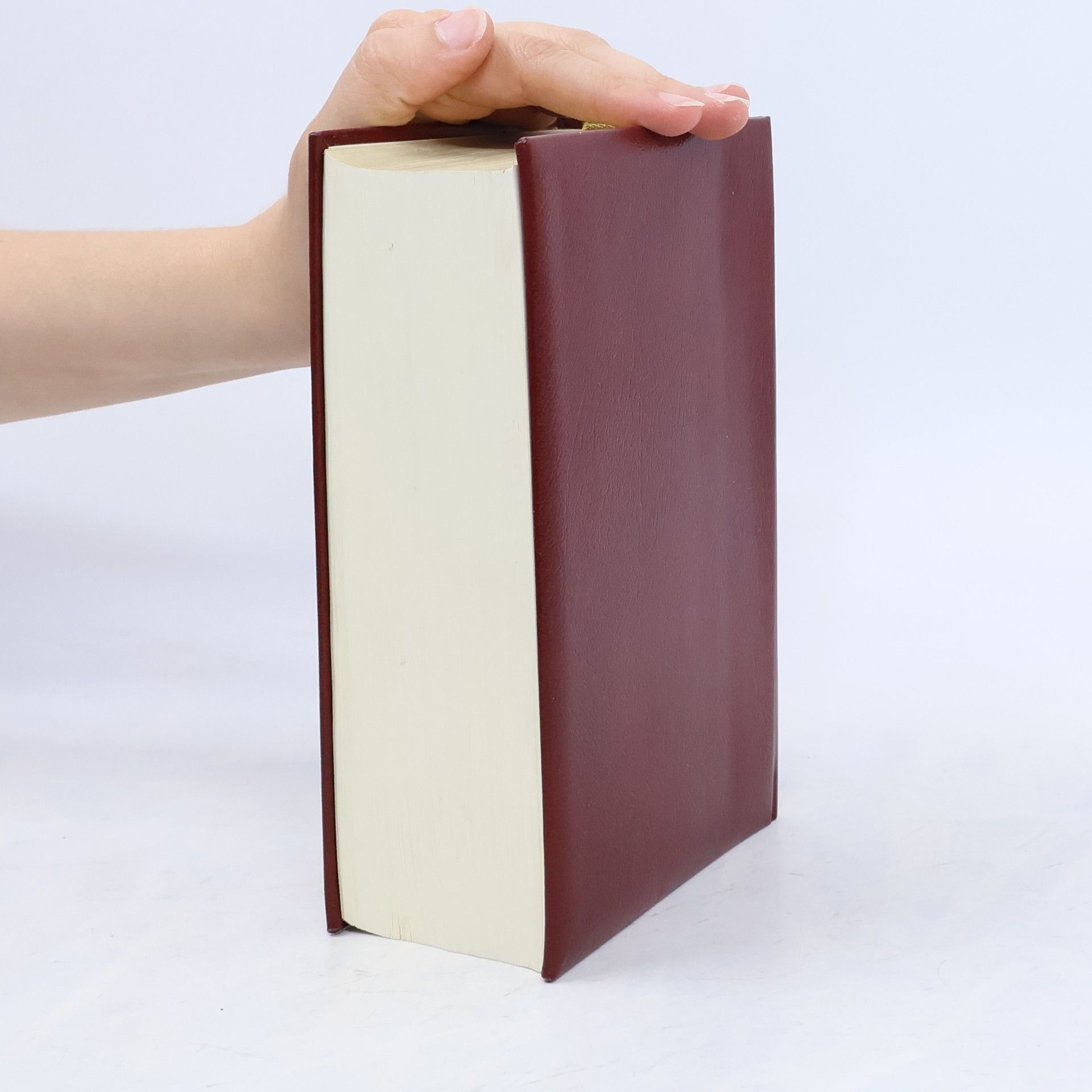 Autorenkollektiv Die Bibel
