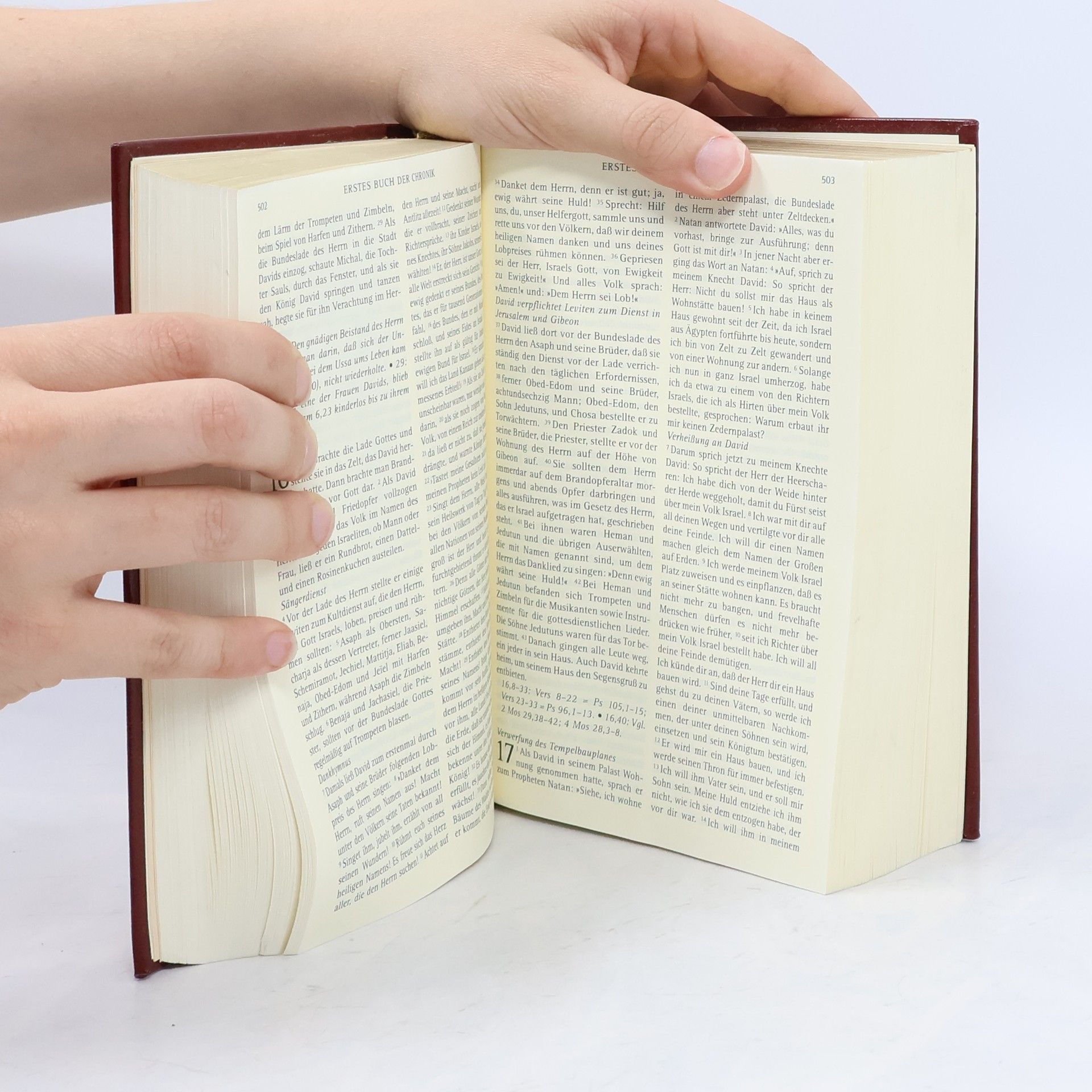Autorenkollektiv Die Bibel