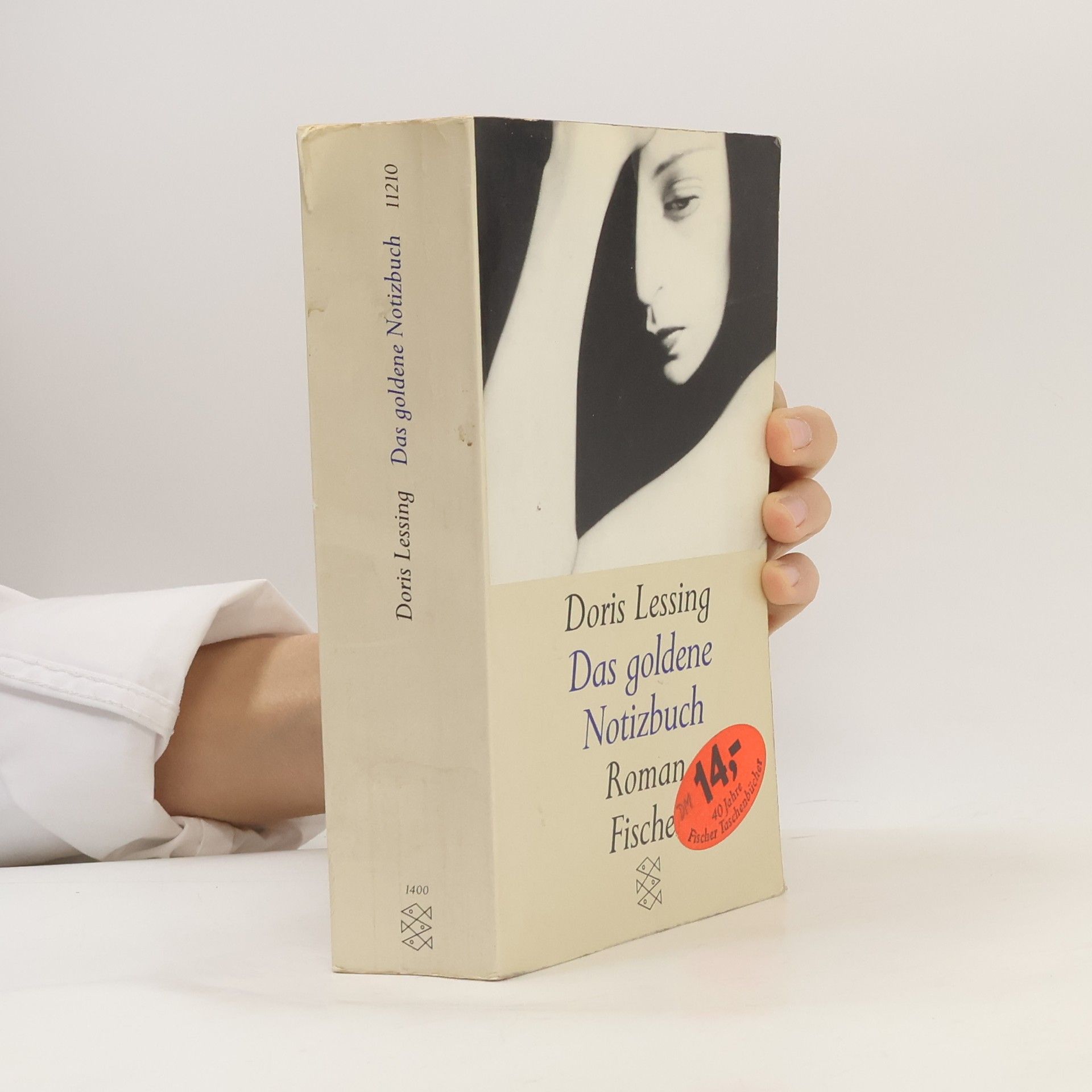 Doris May Lessing Das goldene Notizbuch