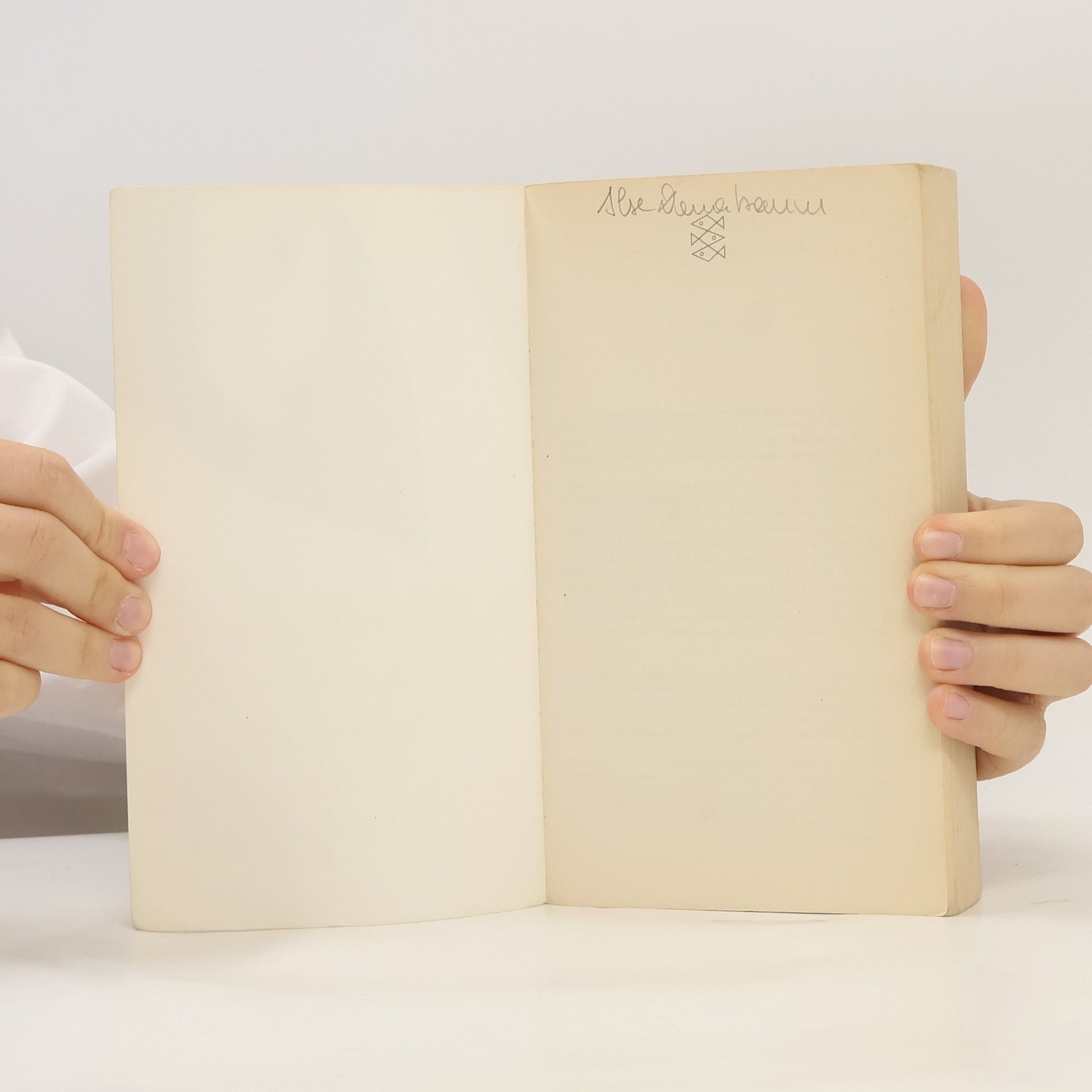 Doris May Lessing Das goldene Notizbuch