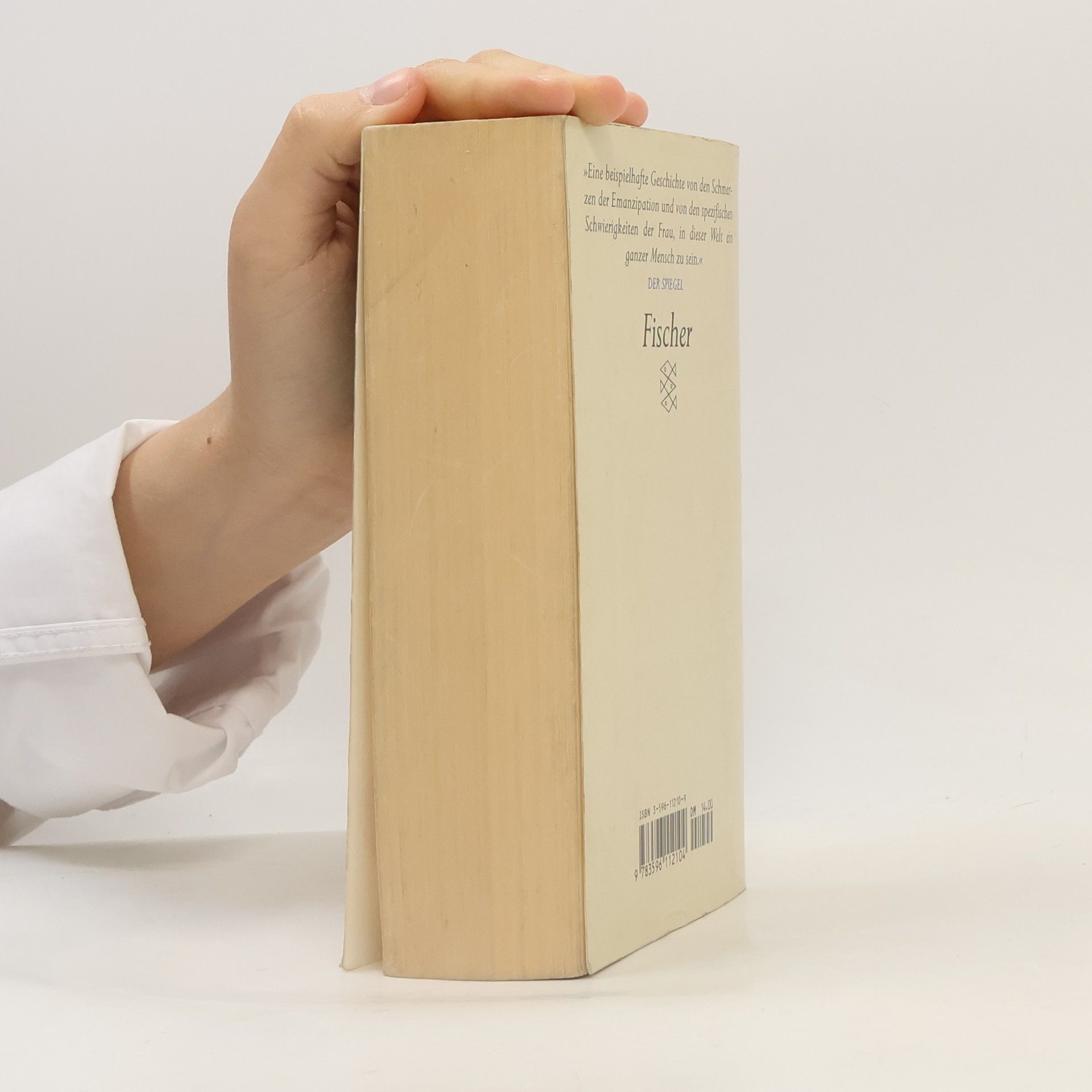 Doris May Lessing Das goldene Notizbuch