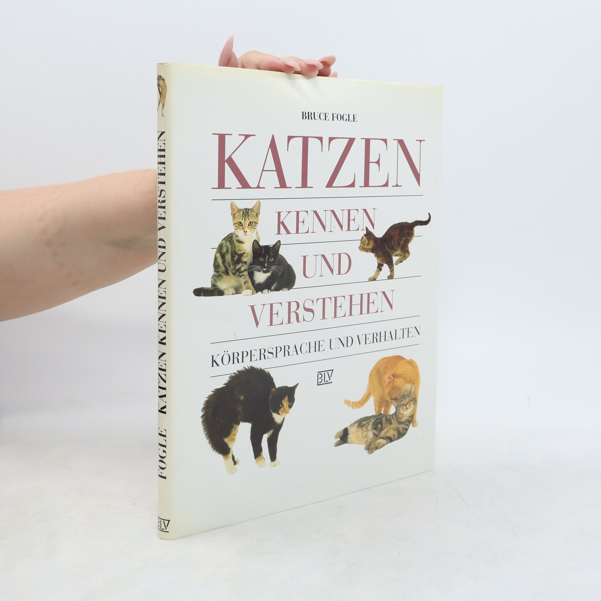 Bruce Fogle Katzen kennen und verstehen