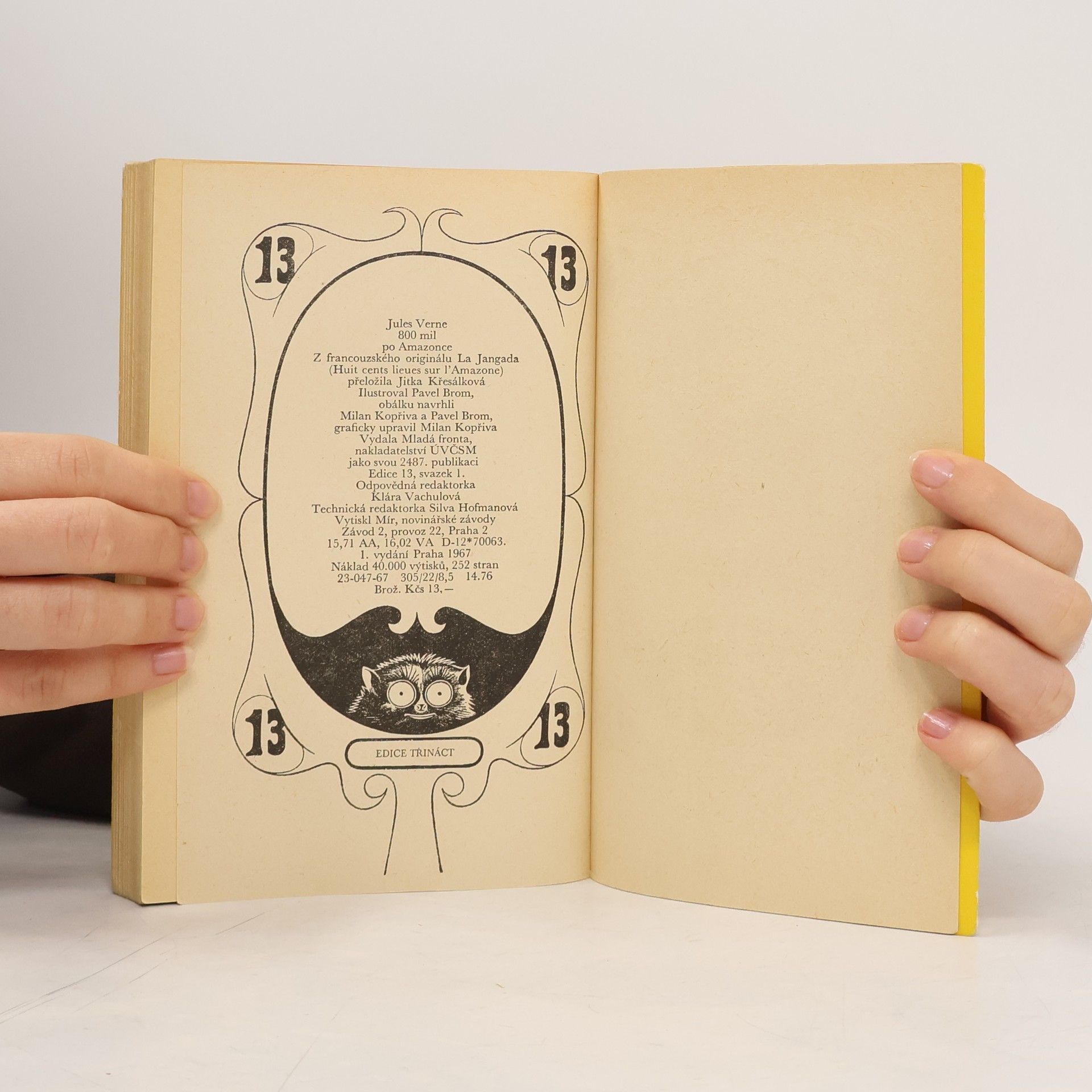 Jules Verne 800 mil po Amazonce. Jangada