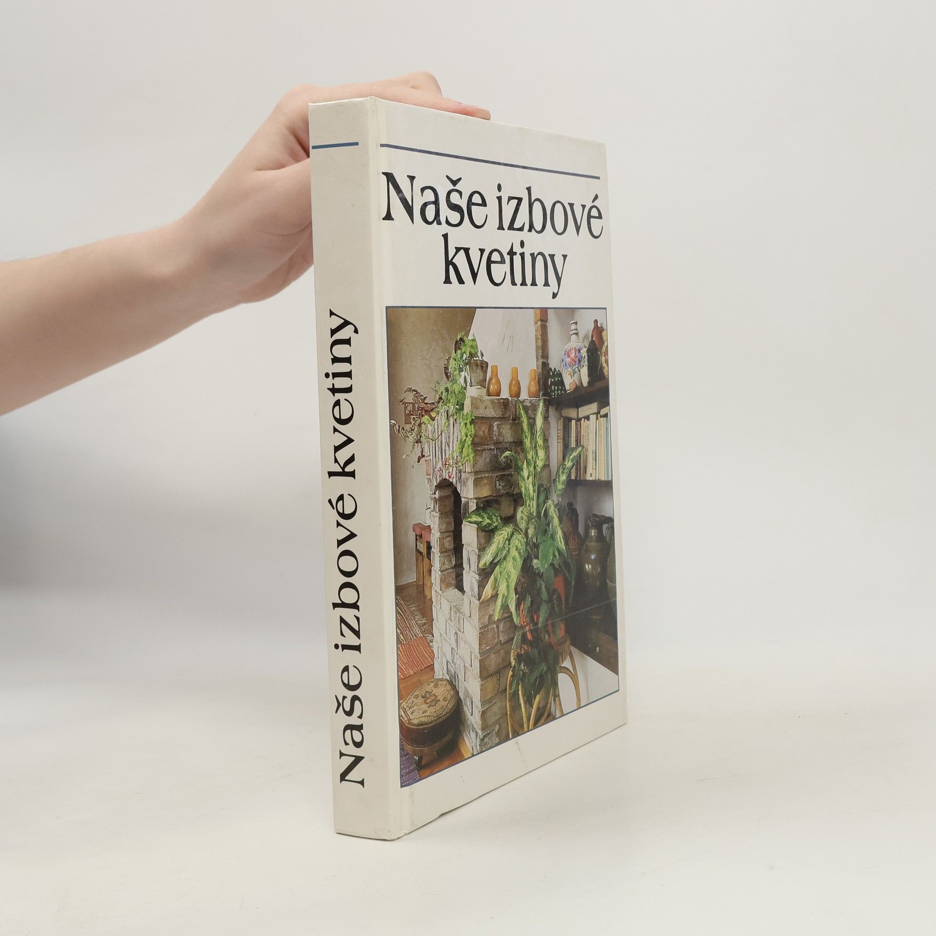 Lajos Lelkes Naše izbové kvetiny