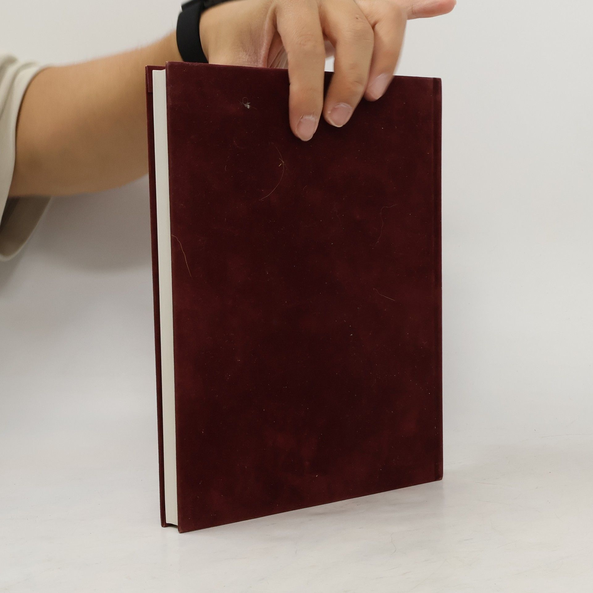 Gerald Sammet Das literarische Barbuch