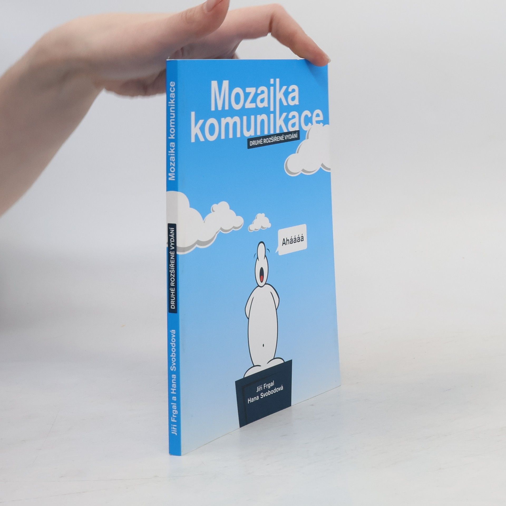 Mozaika komunikace