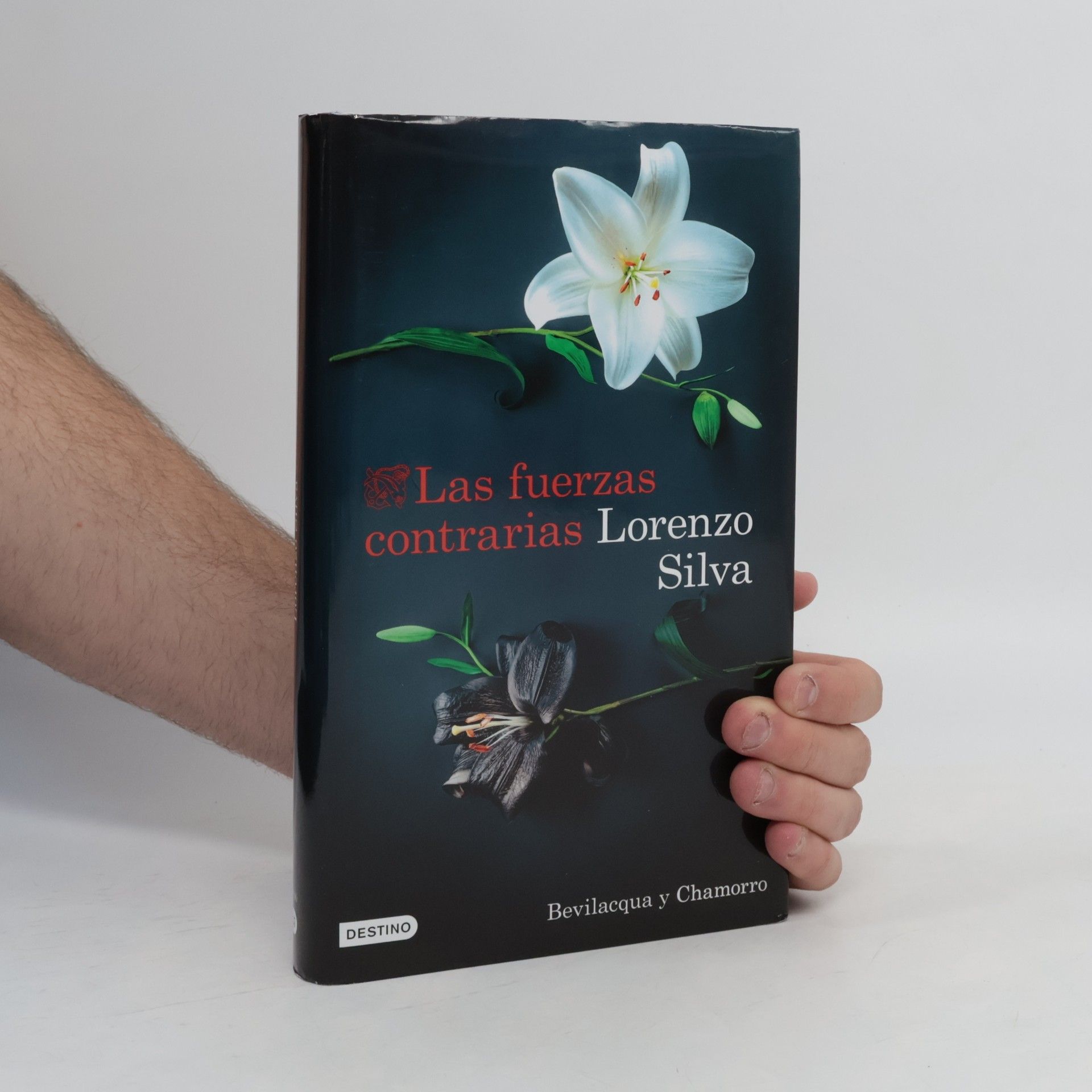 Lorenzo Silva Bevilacqua y Chamorro - 14: Las fuerzas contrarias