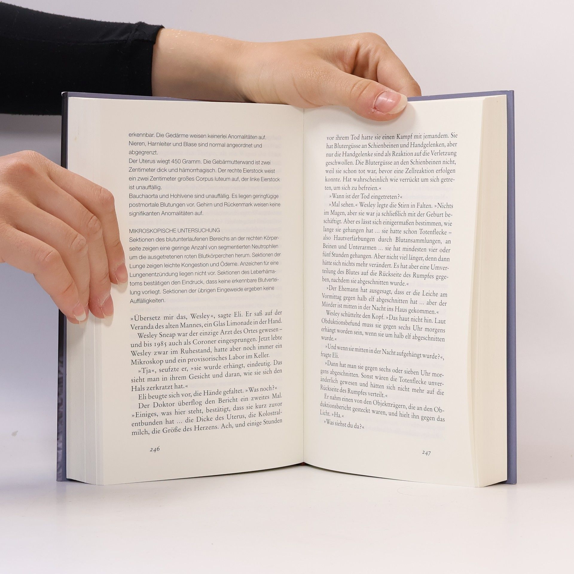 Jodi Picoult Zeit der Gespenster