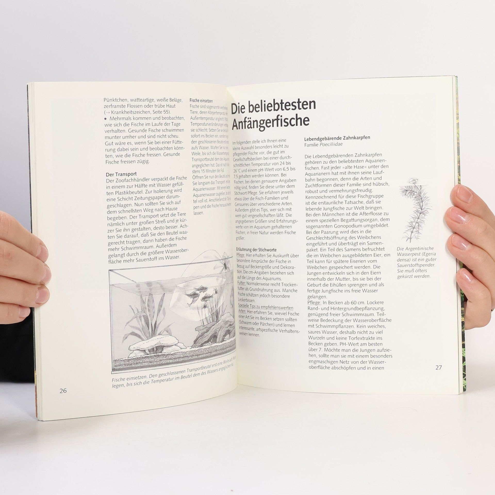 Peter Stademann Das Aquarium einrichten und pflegen -leicht gemacht