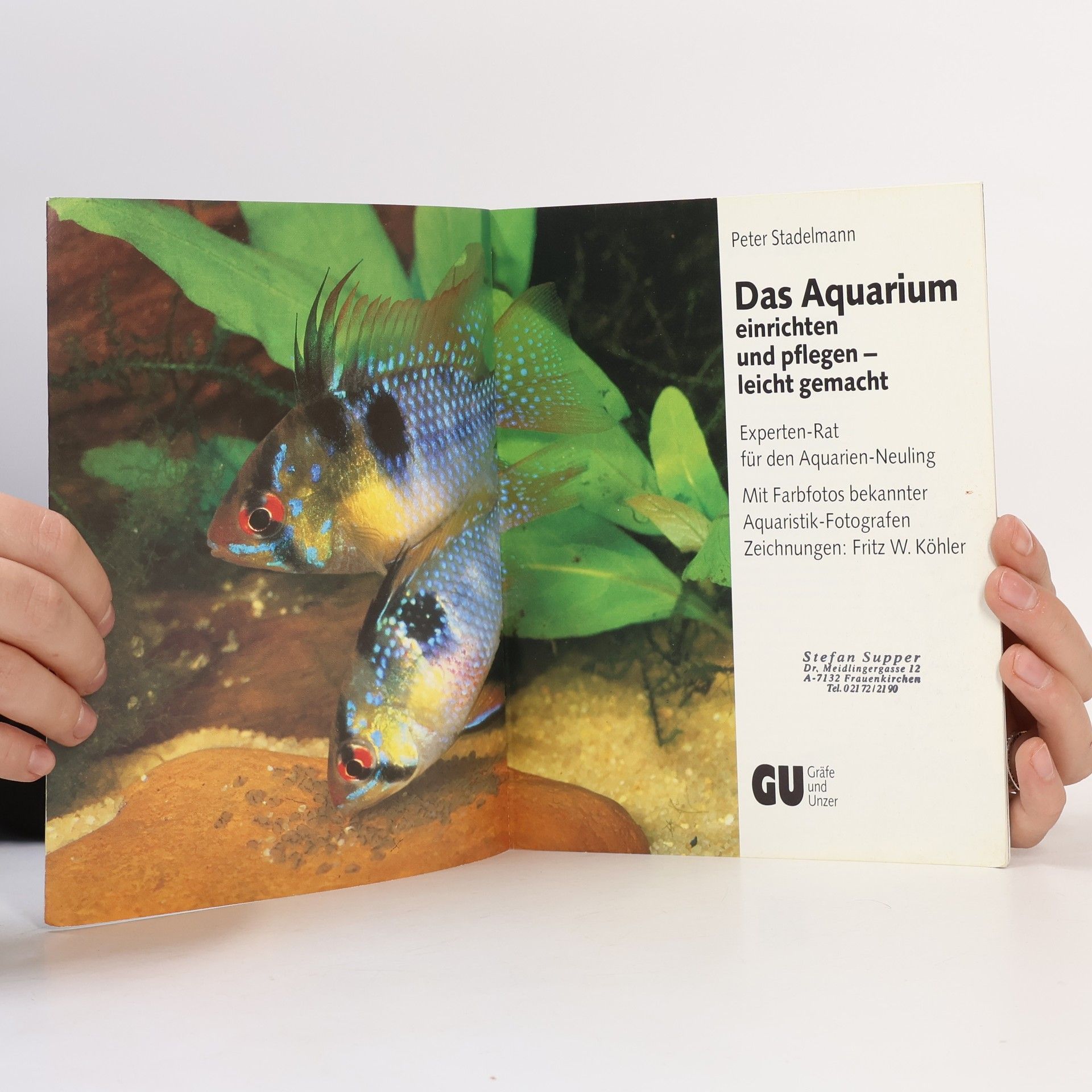 Peter Stademann Das Aquarium einrichten und pflegen -leicht gemacht