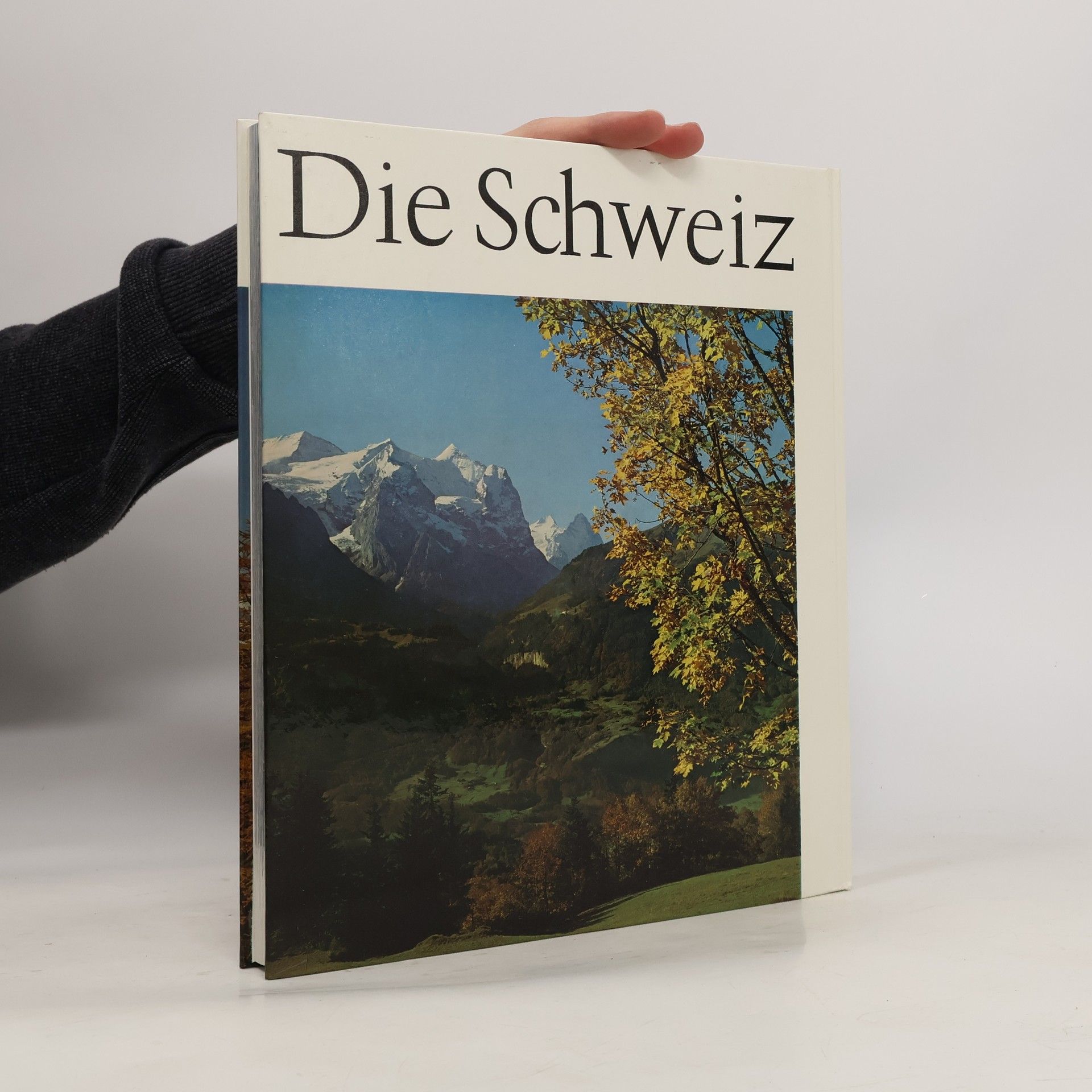 Otto Siegner Die Schweiz