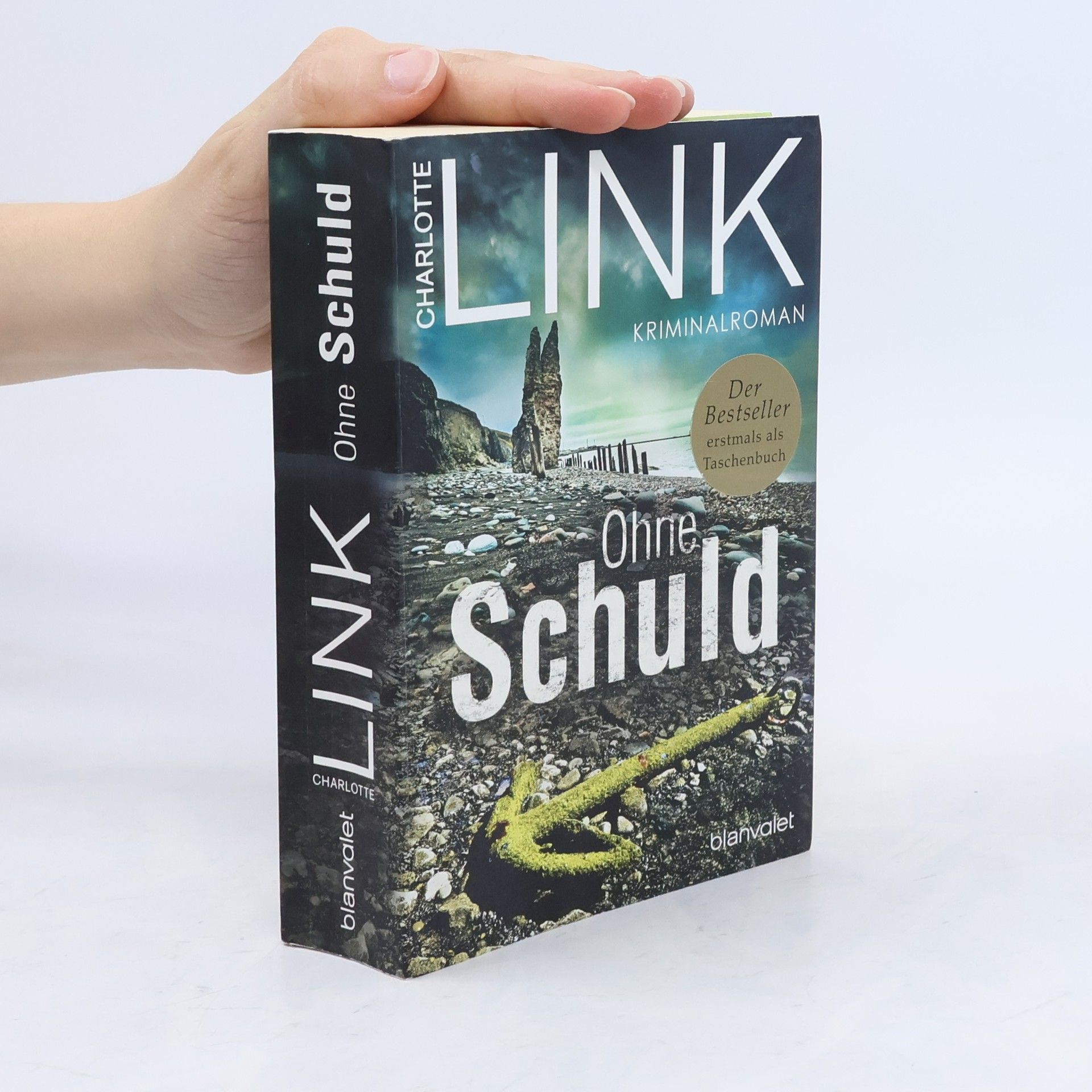 Charlotte Link Ohne Schuld