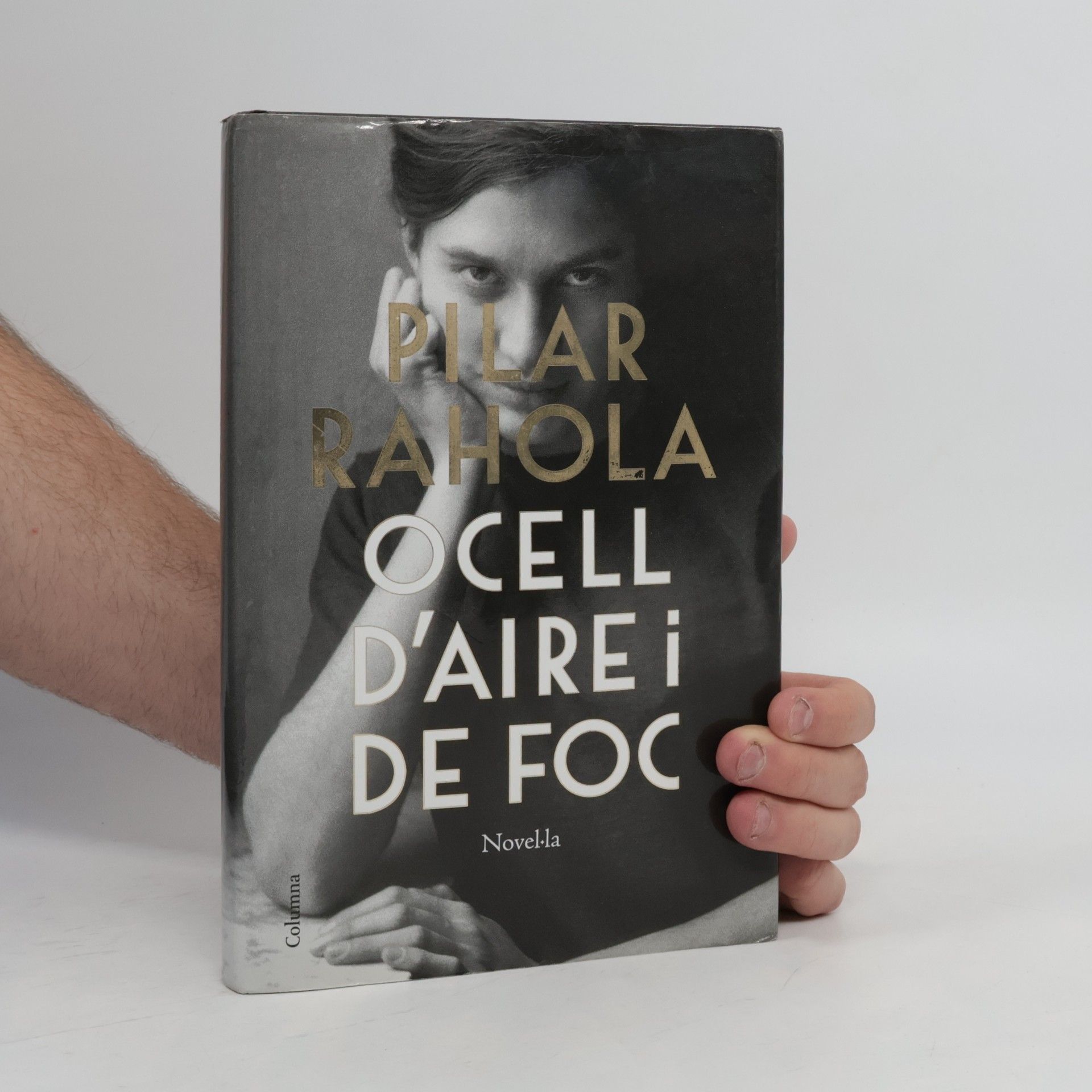 Ocell d'aire i de foc
