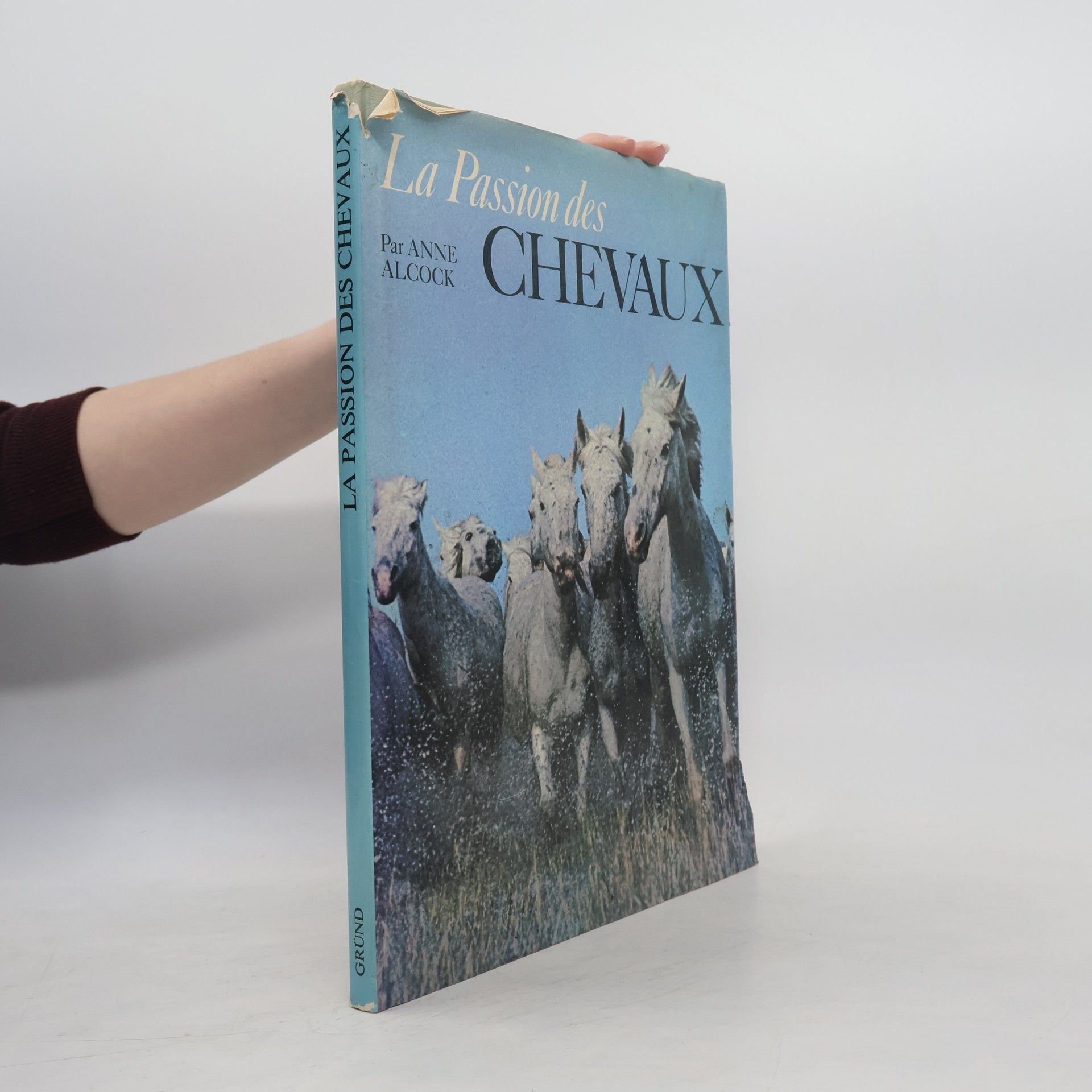 Anne Alcock La Passion des chevaux