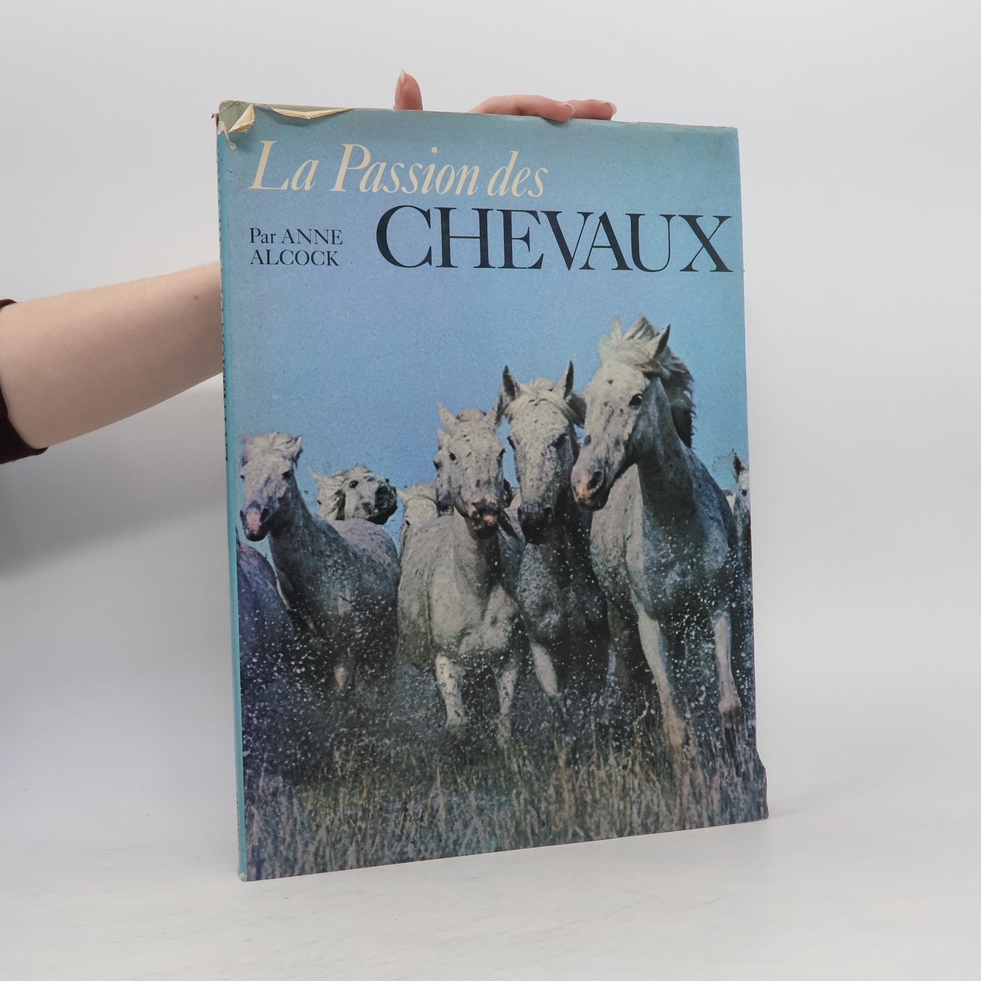 Anne Alcock La Passion des chevaux
