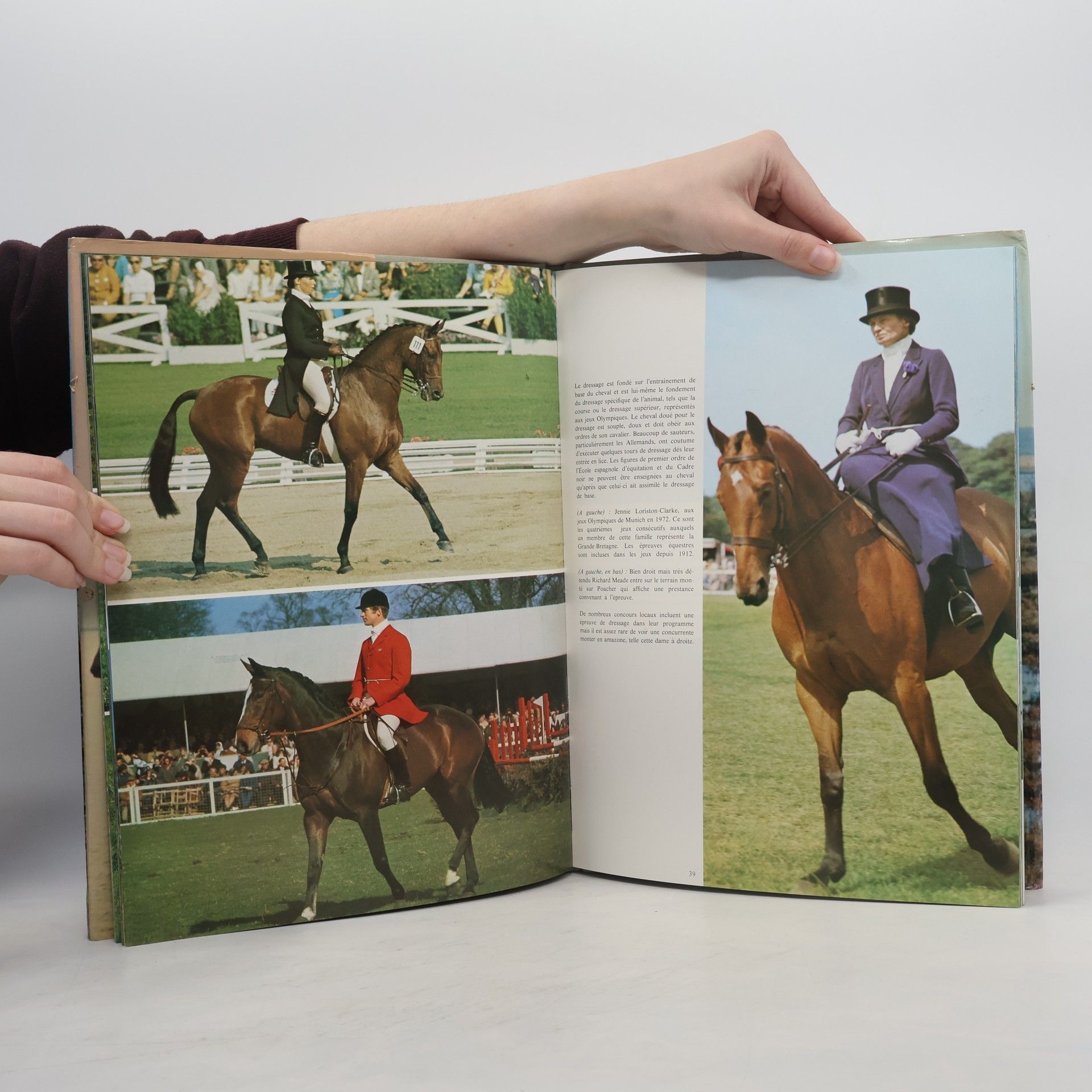Anne Alcock La Passion des chevaux
