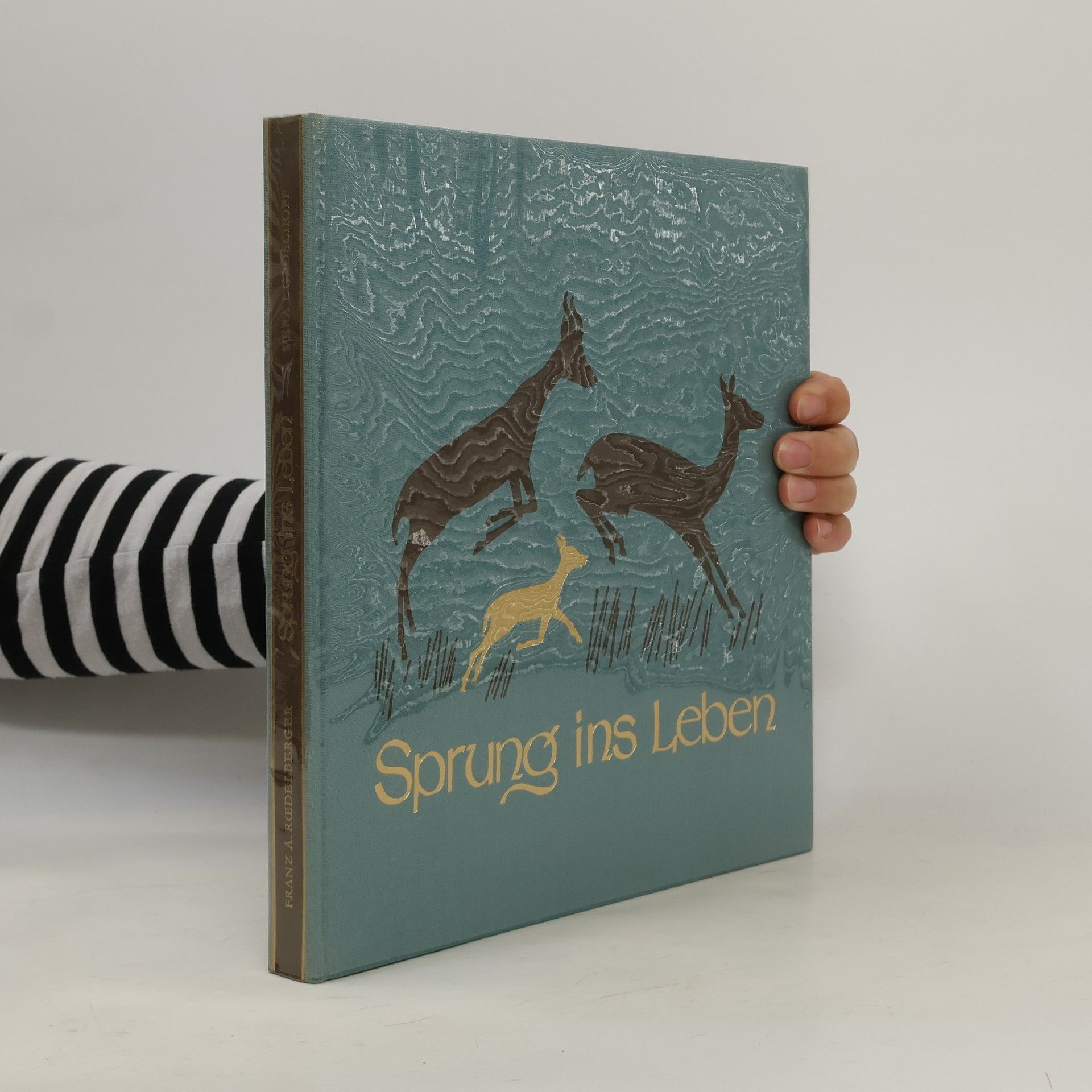 Autorenkollektiv Sprung ins Leben